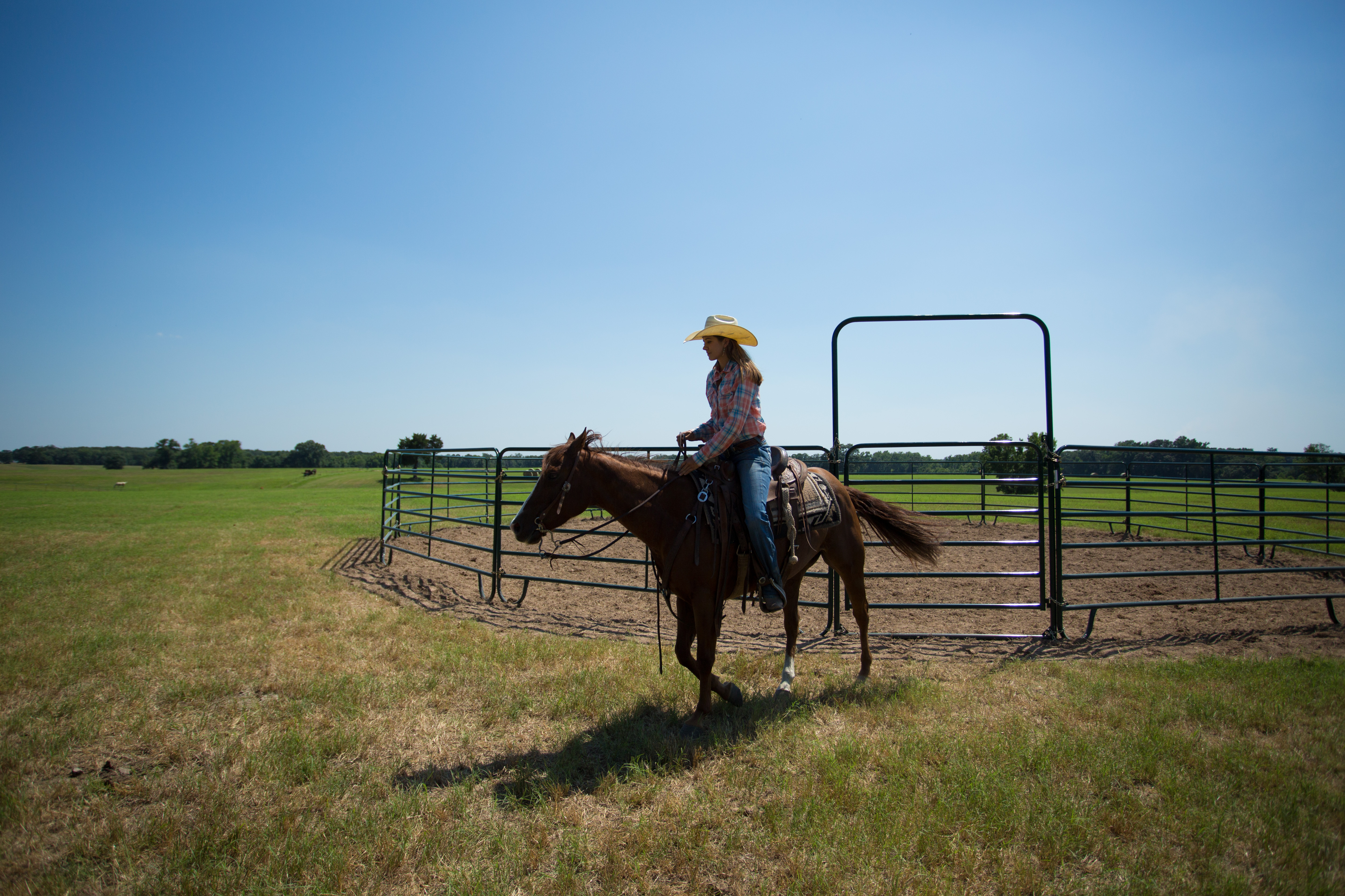 Economy Round Pen RP50 45.jpg