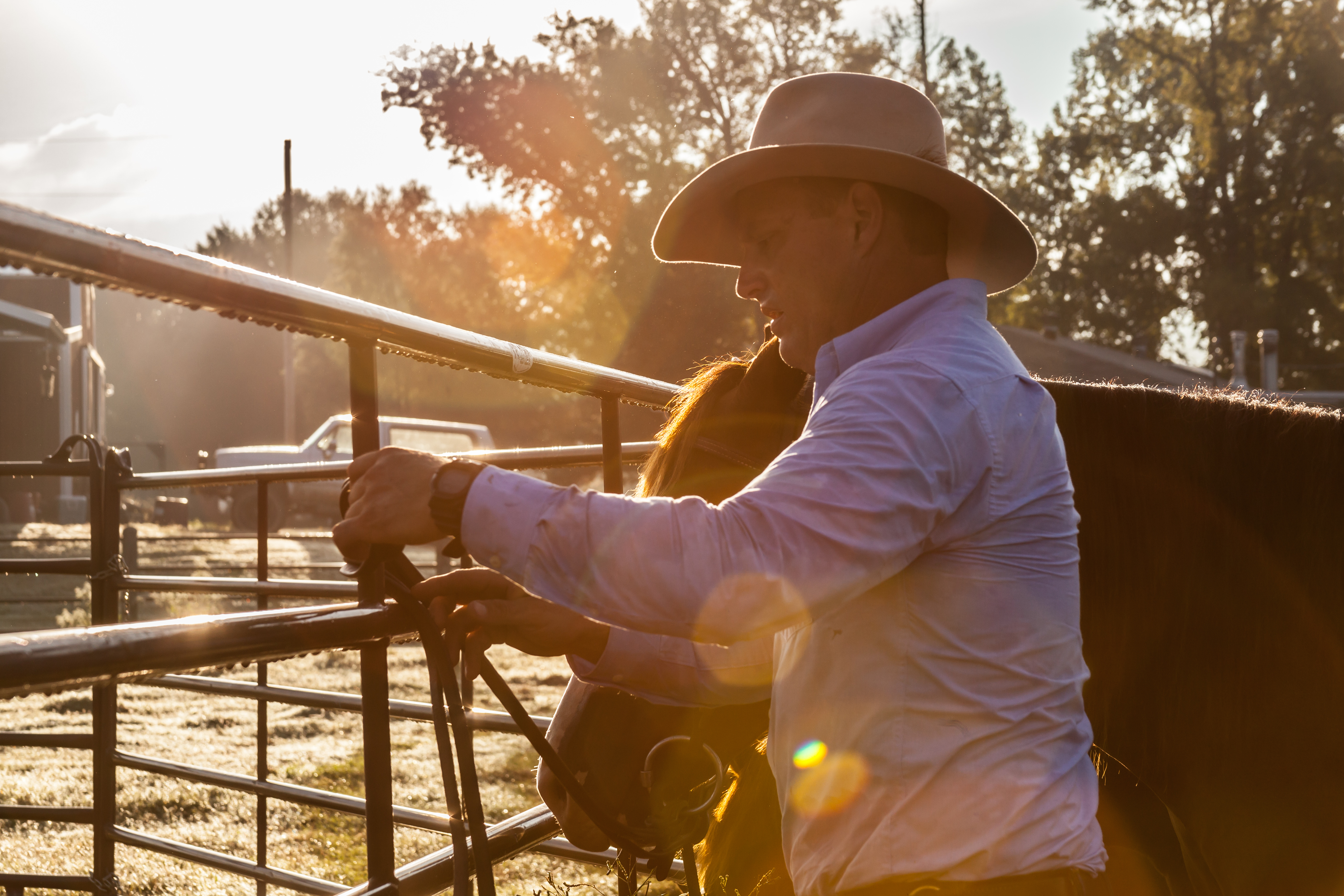 Horse Panels Guy Mclean 01.jpg