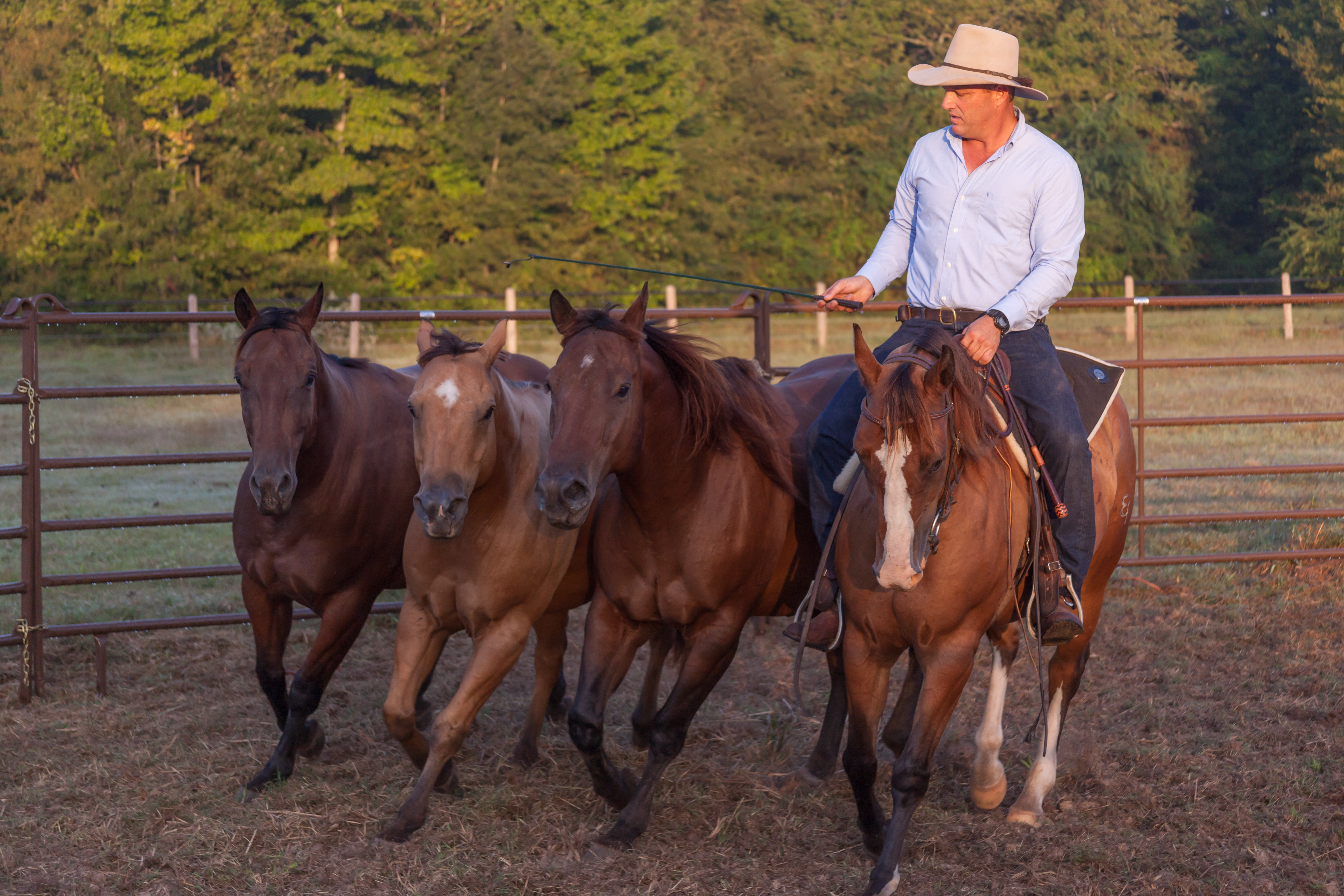 Horse Guy Mclean UP4003.jpg