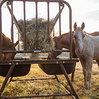 PHFH Pasture Horse Feeder