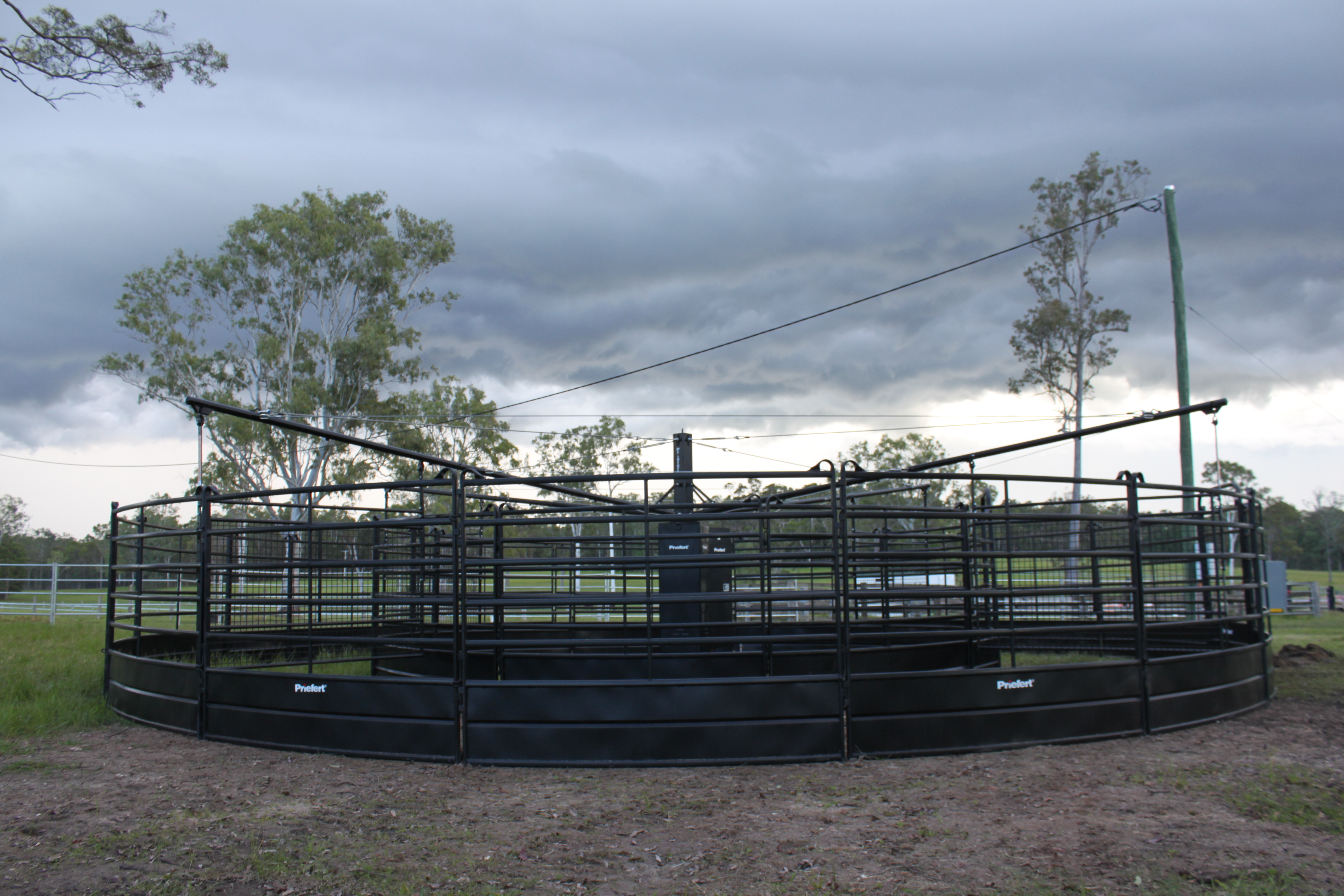 Sharp And Ftizgeradl Walkers 114.JPG