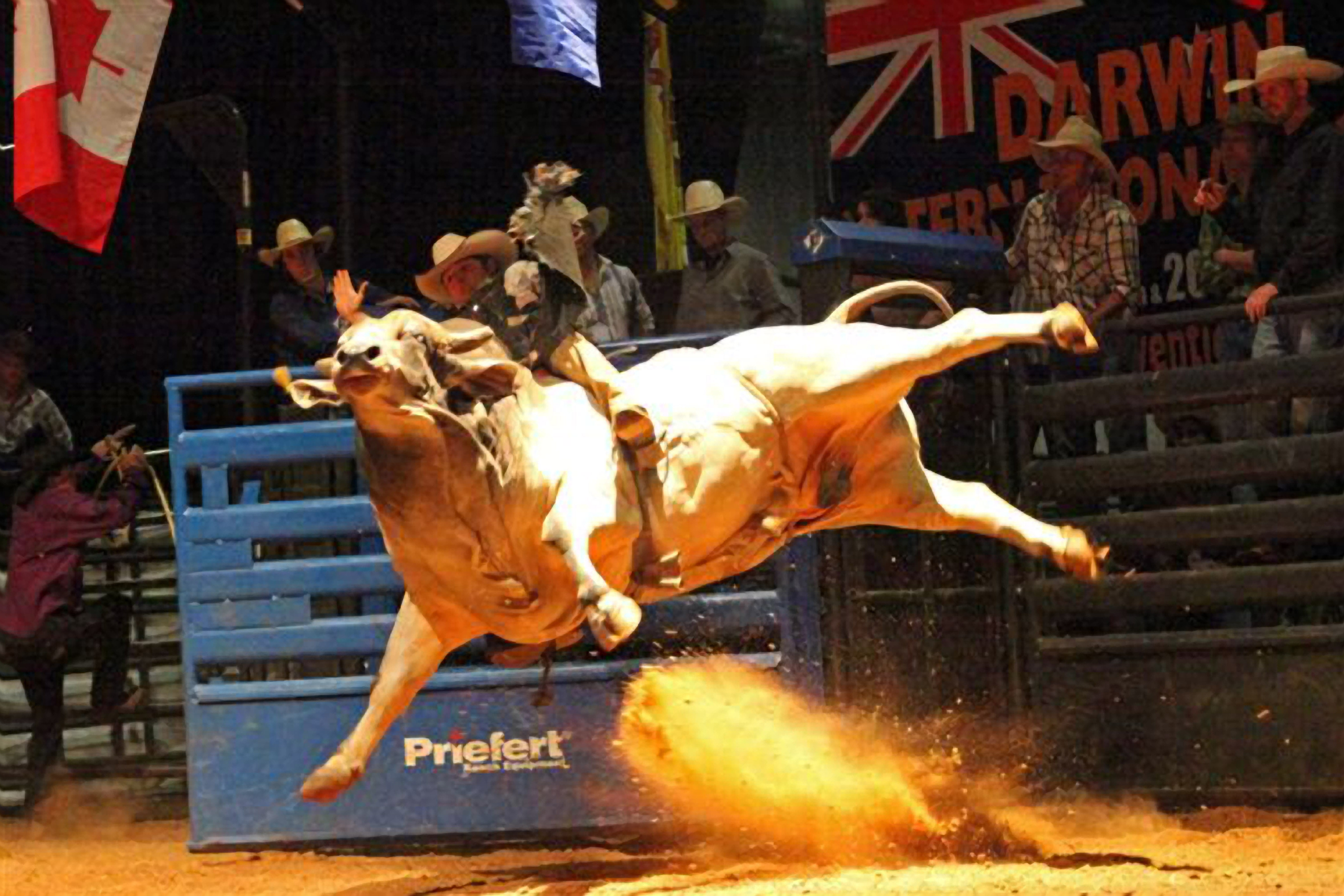 Rocksalt Conventionvcenter (2).jpg