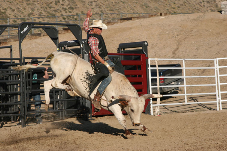 Rodeo Bucking Chute BC 03.jpg