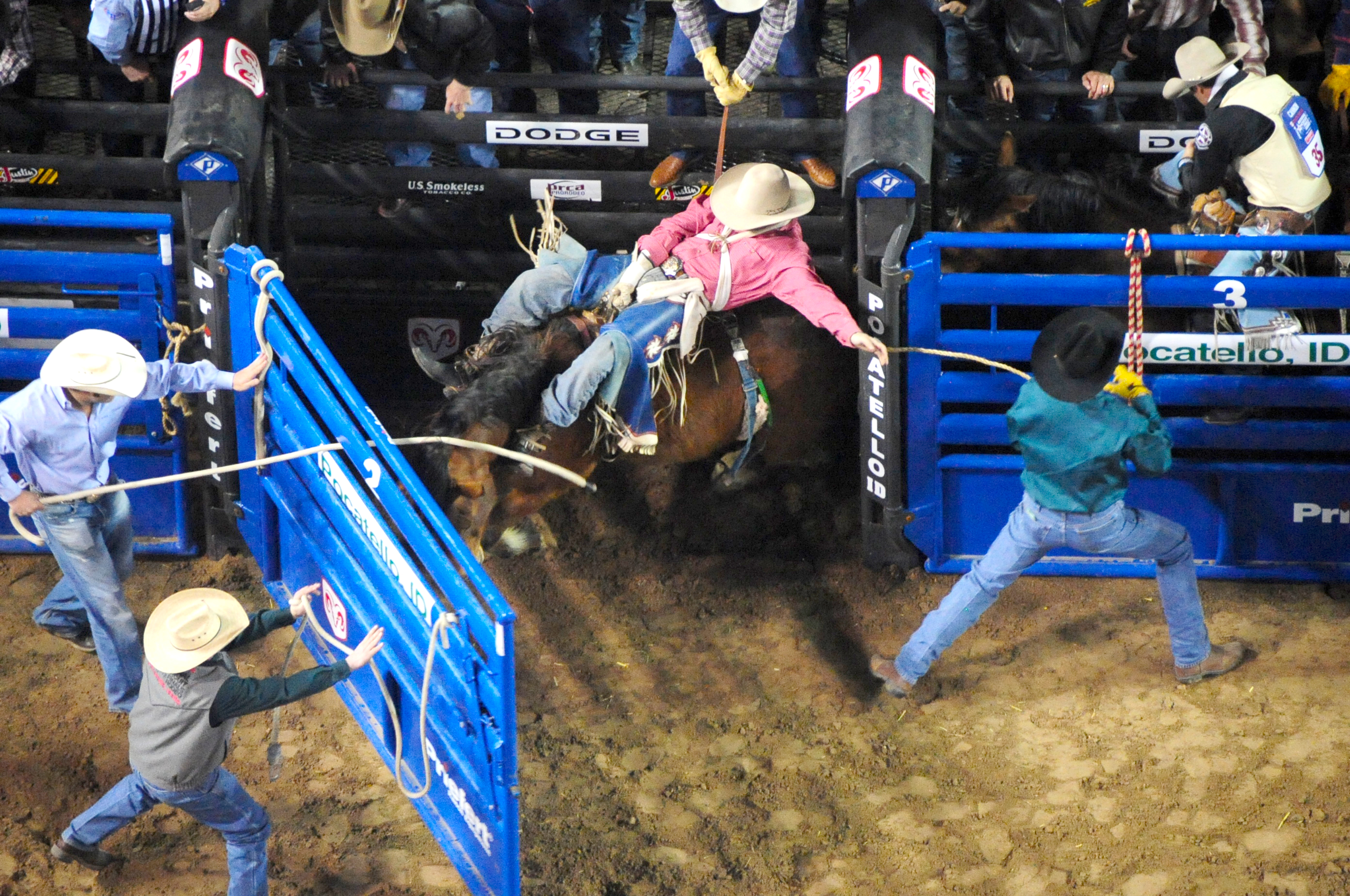 Rodeo Bucking Chute BC 04.jpg
