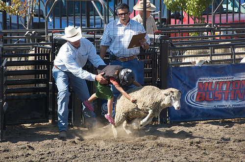 Rodeo Mutton Bustin MBCL 02.jpg