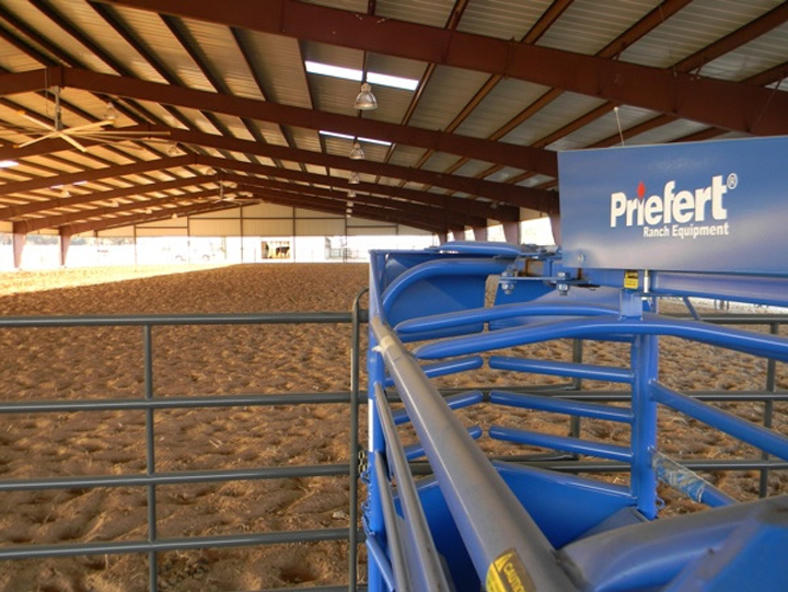 Rodeo Roping RC98AI.jpg