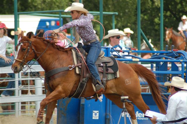 Rodeo Roping RC98 03.JPG