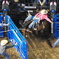 Bucking Chutes