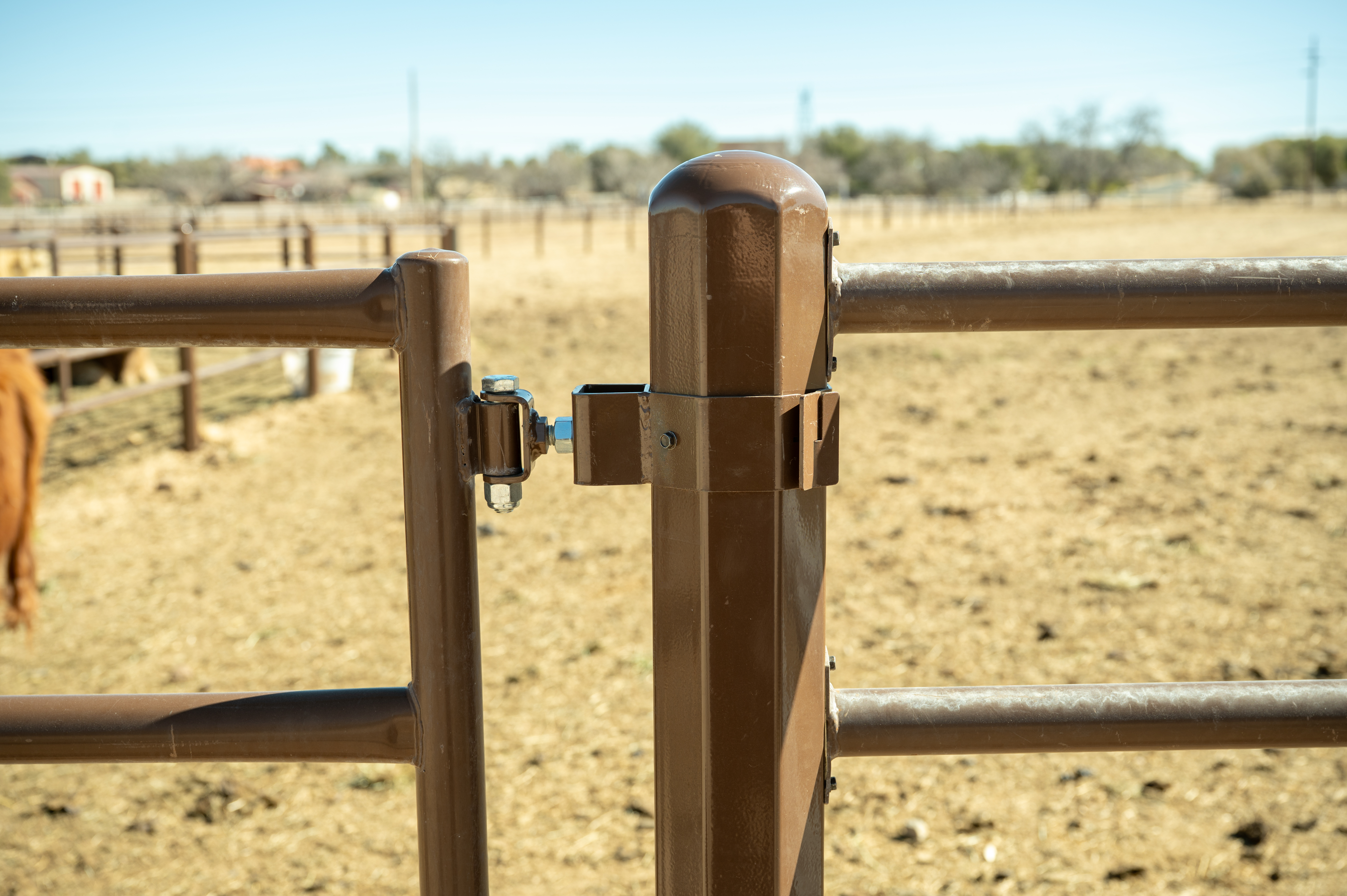 Priefert Estate Fence (2).jpg
