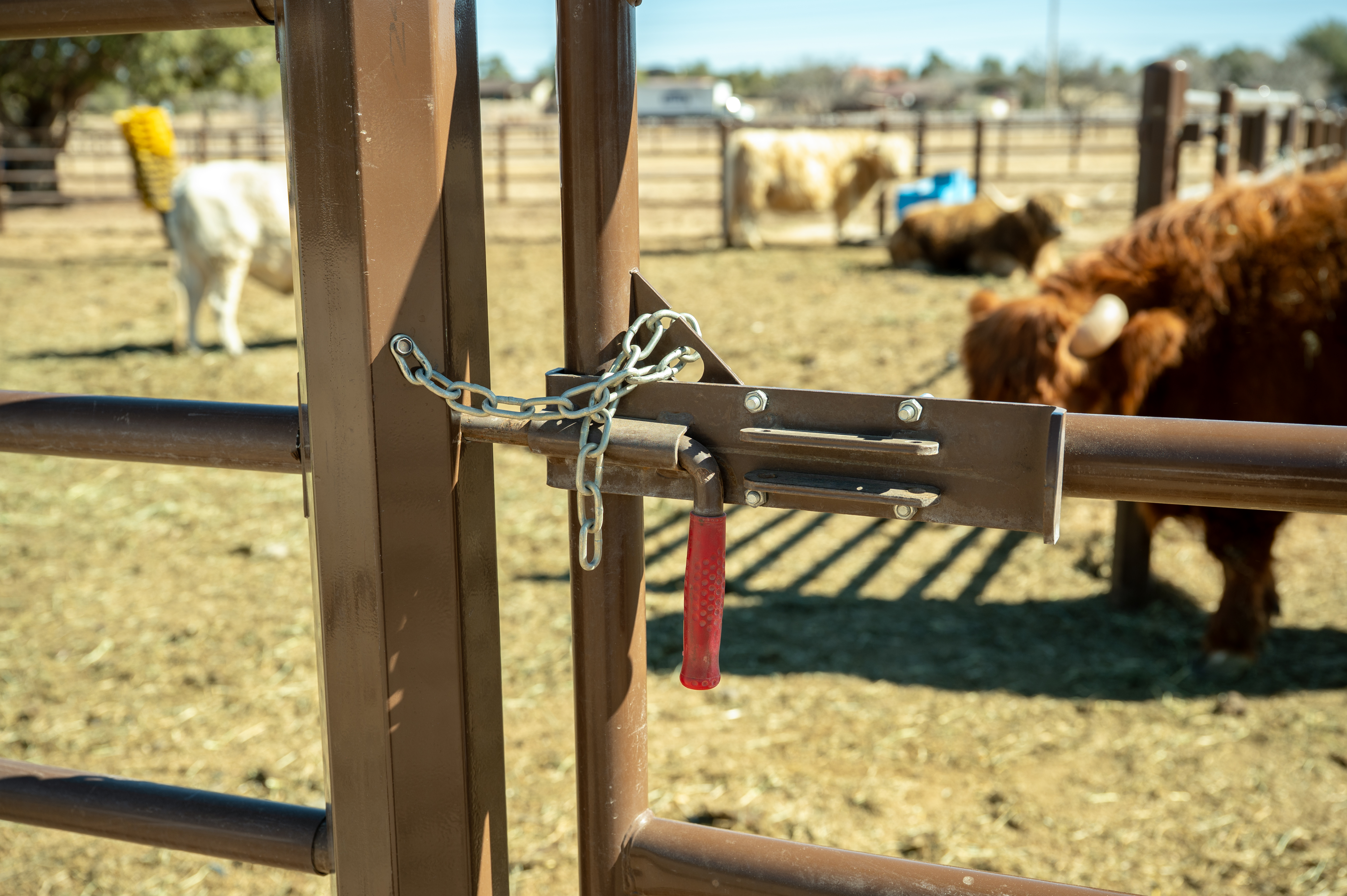 Priefert Estate Fence (3).jpg