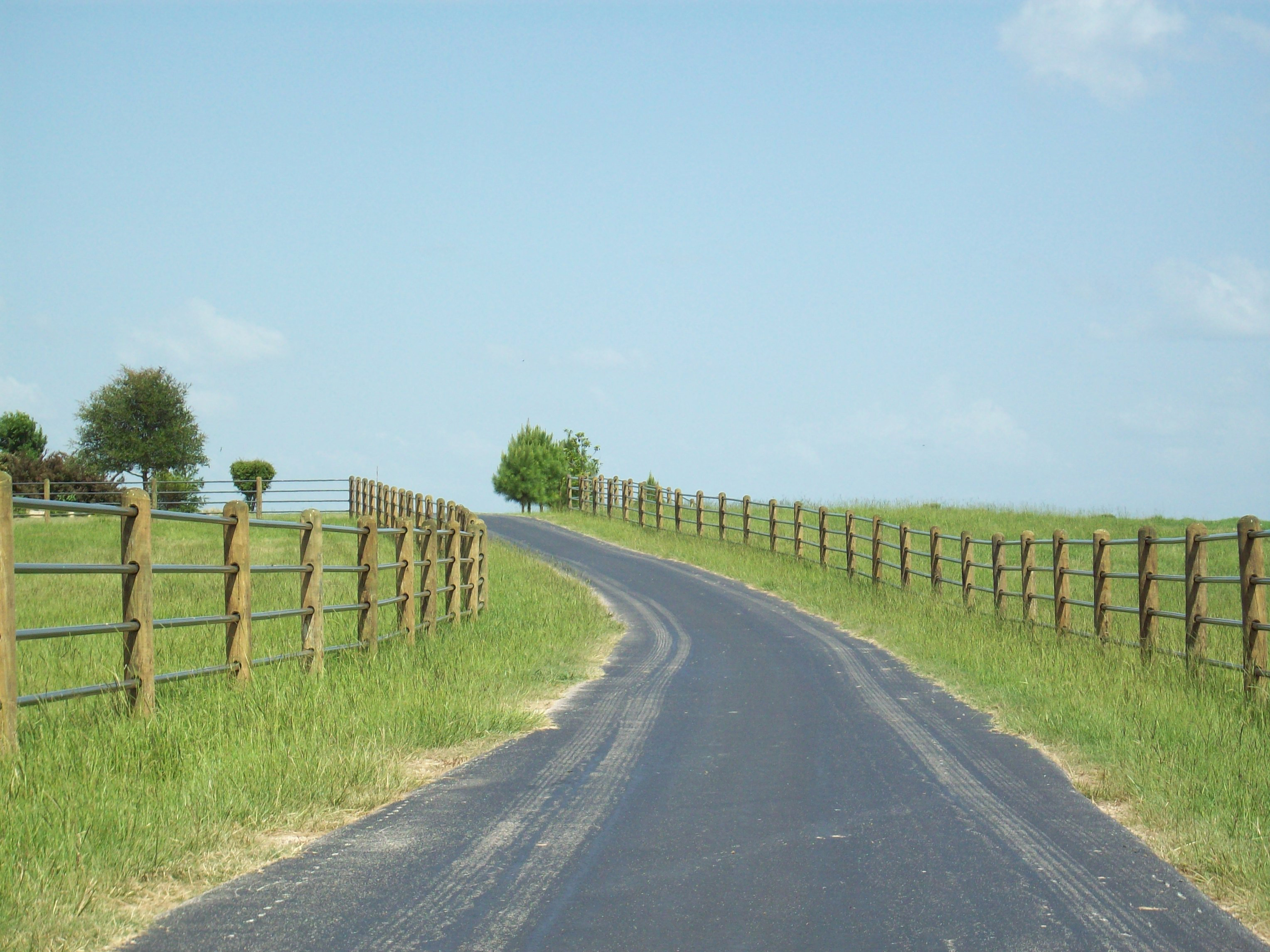 Ponderosa 4 Rail 014.jpg