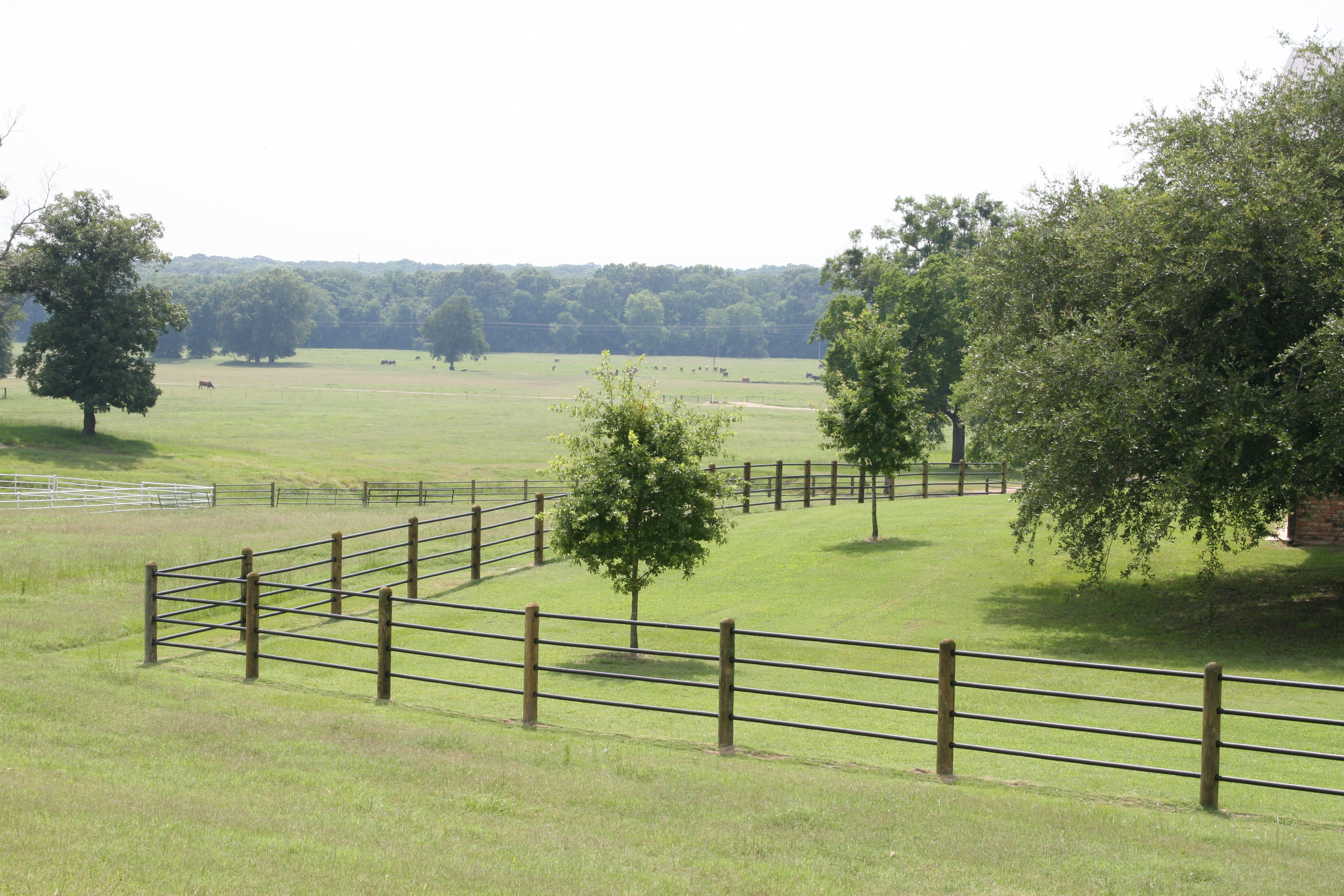 Ponderosa 4 Rail 033.jpg