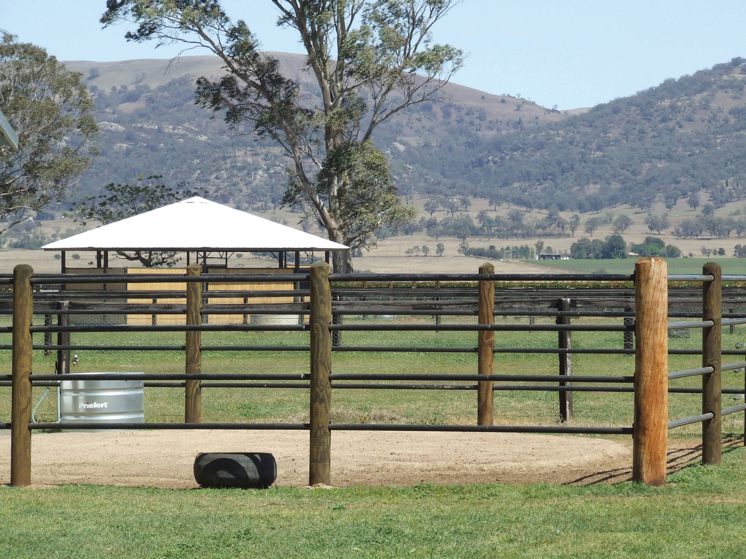 Ponderosa 4 Rail 043.jpg