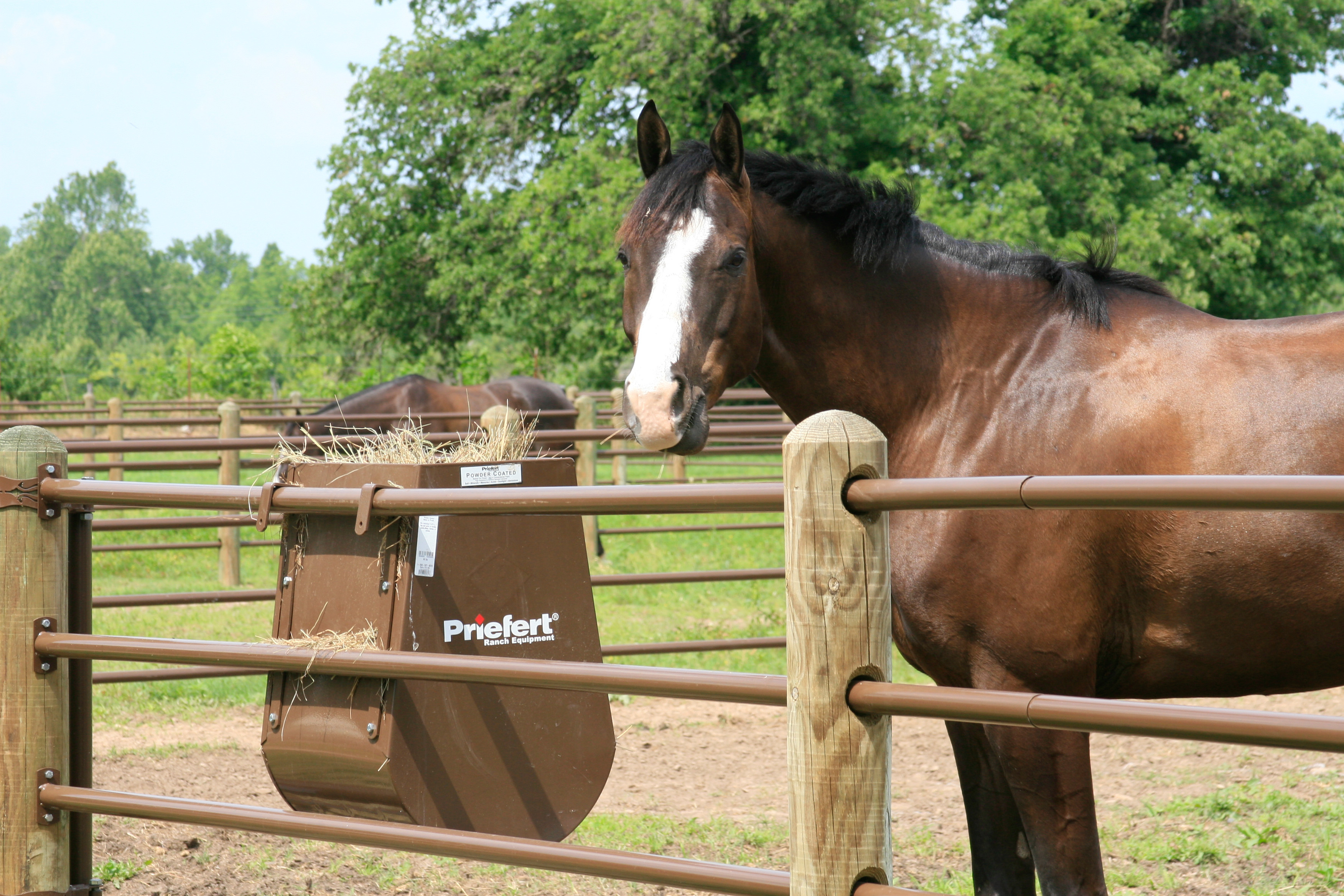 Ponderosa 4 Rail 109 Paddocks.jpg