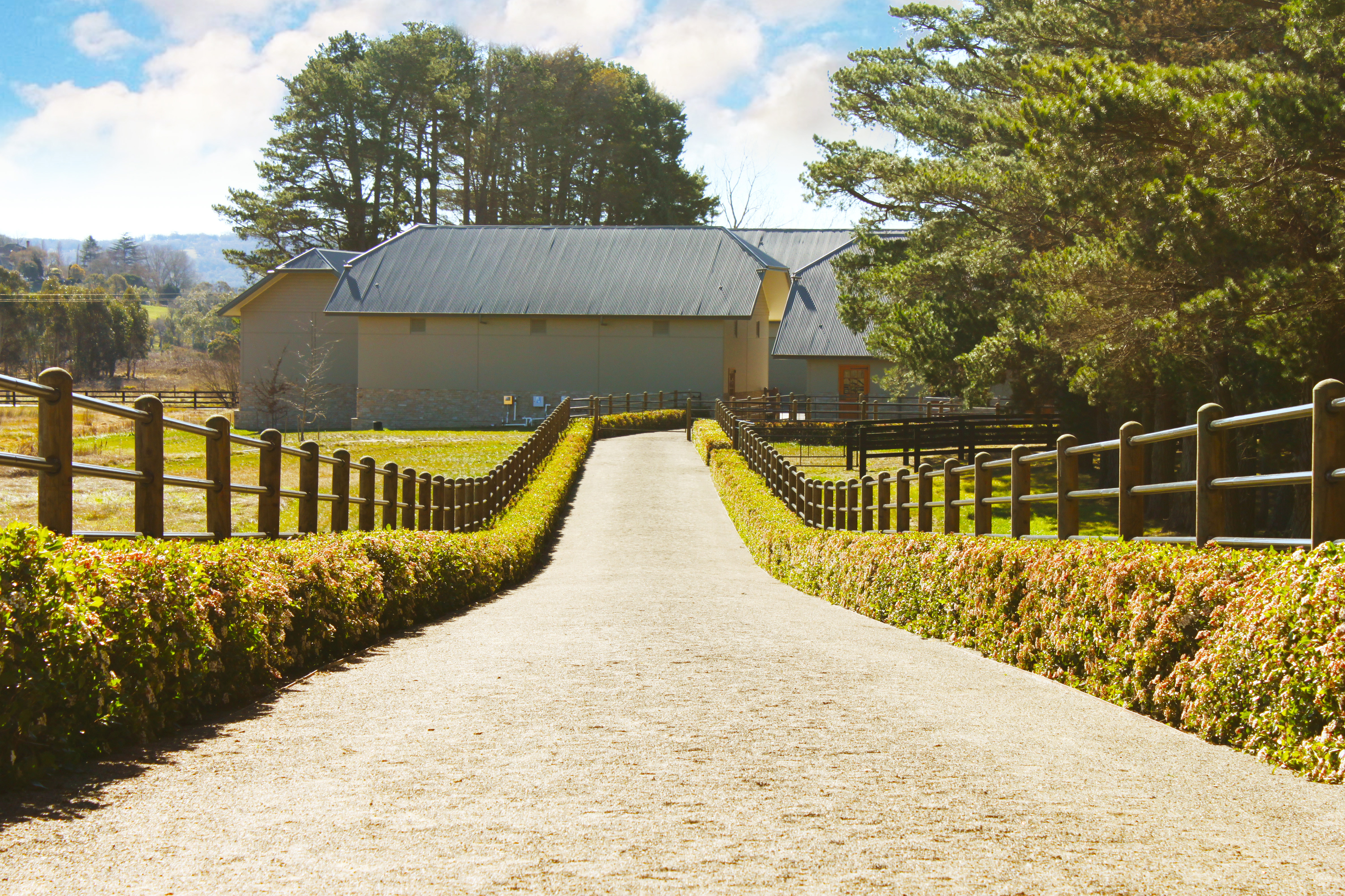 Ponderosa Fence 06 Edit.jpg