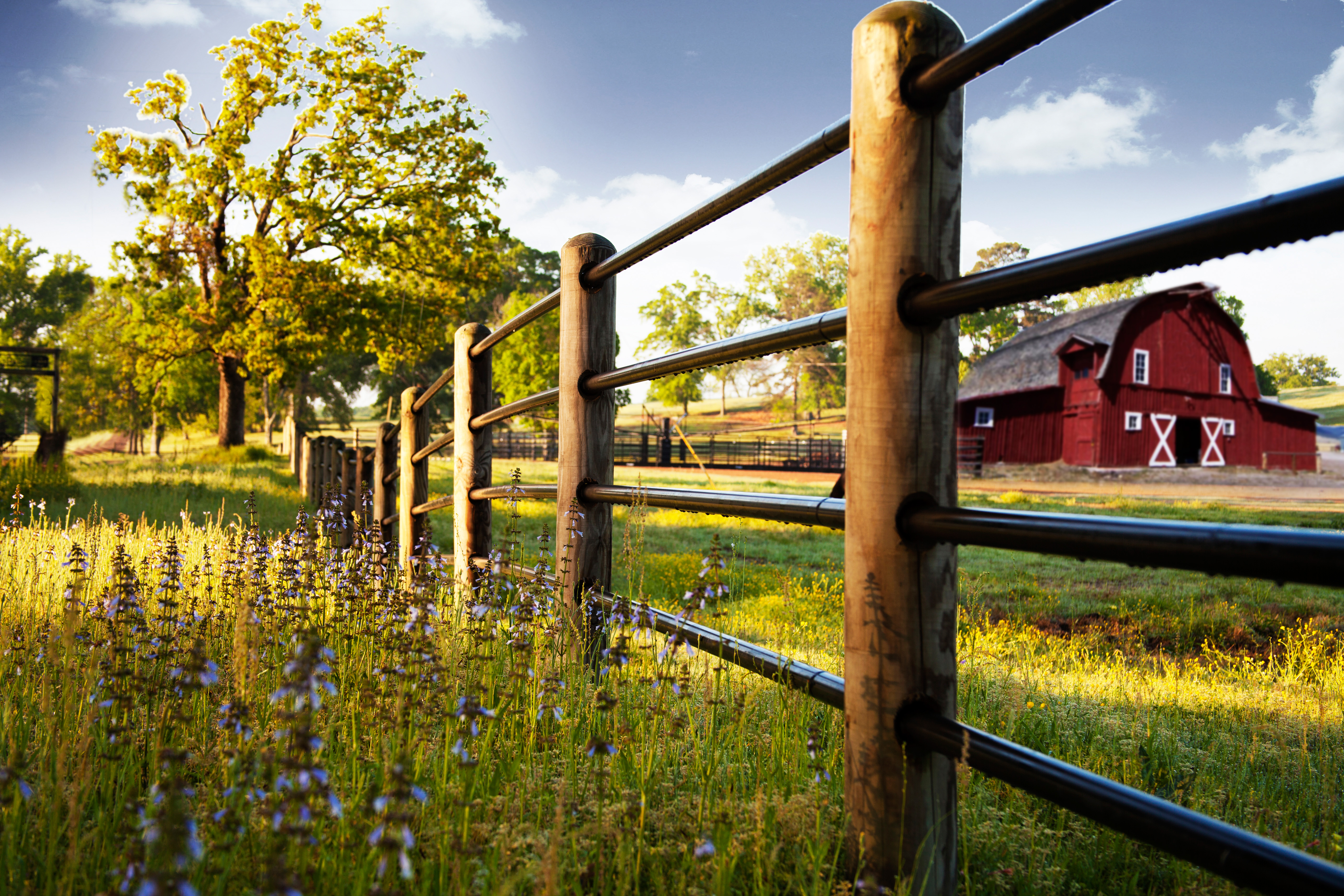 Ponderosa Fence Barn Replacement.jpg
