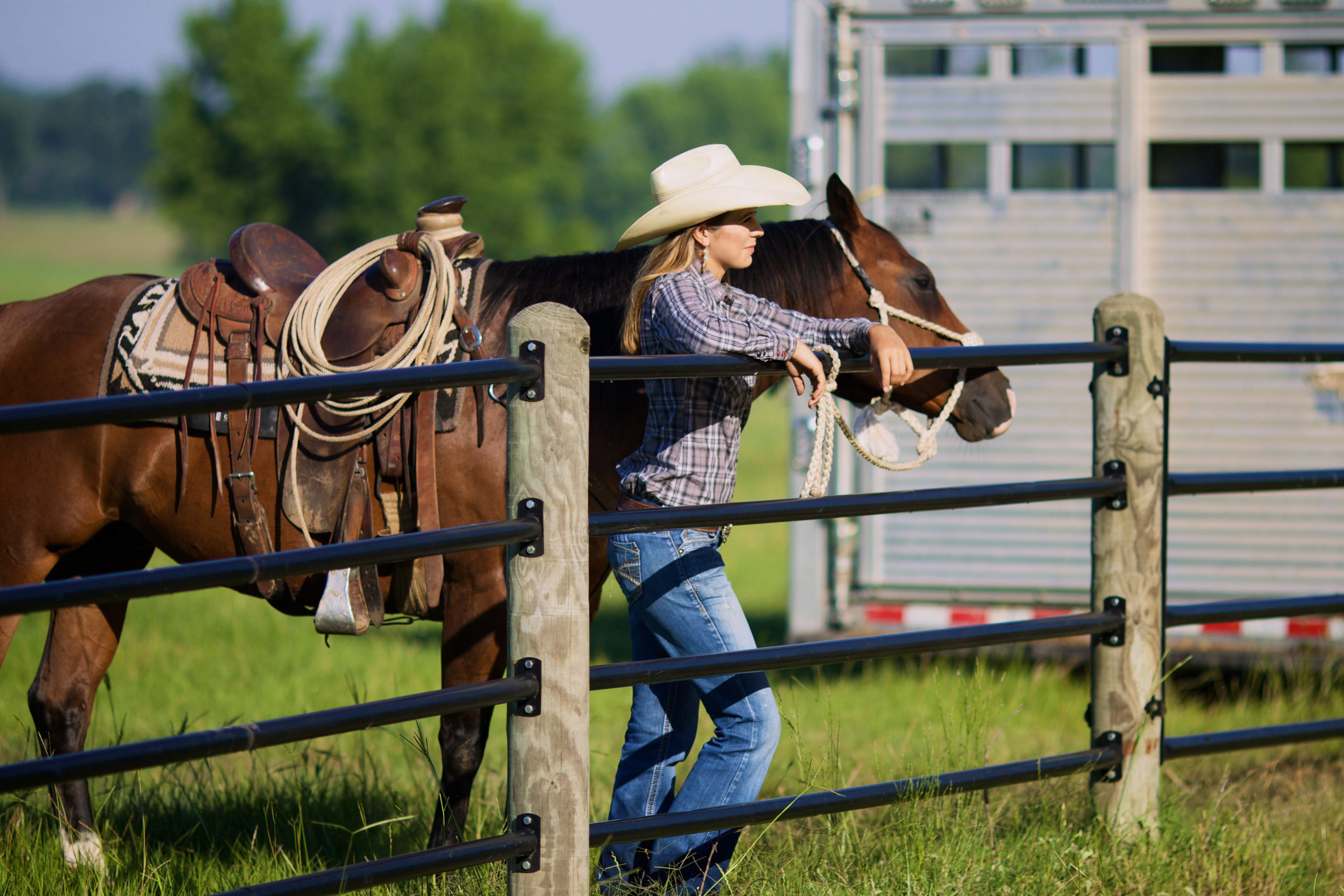 Ponderosa Fence Mesa Pate 02.jpg