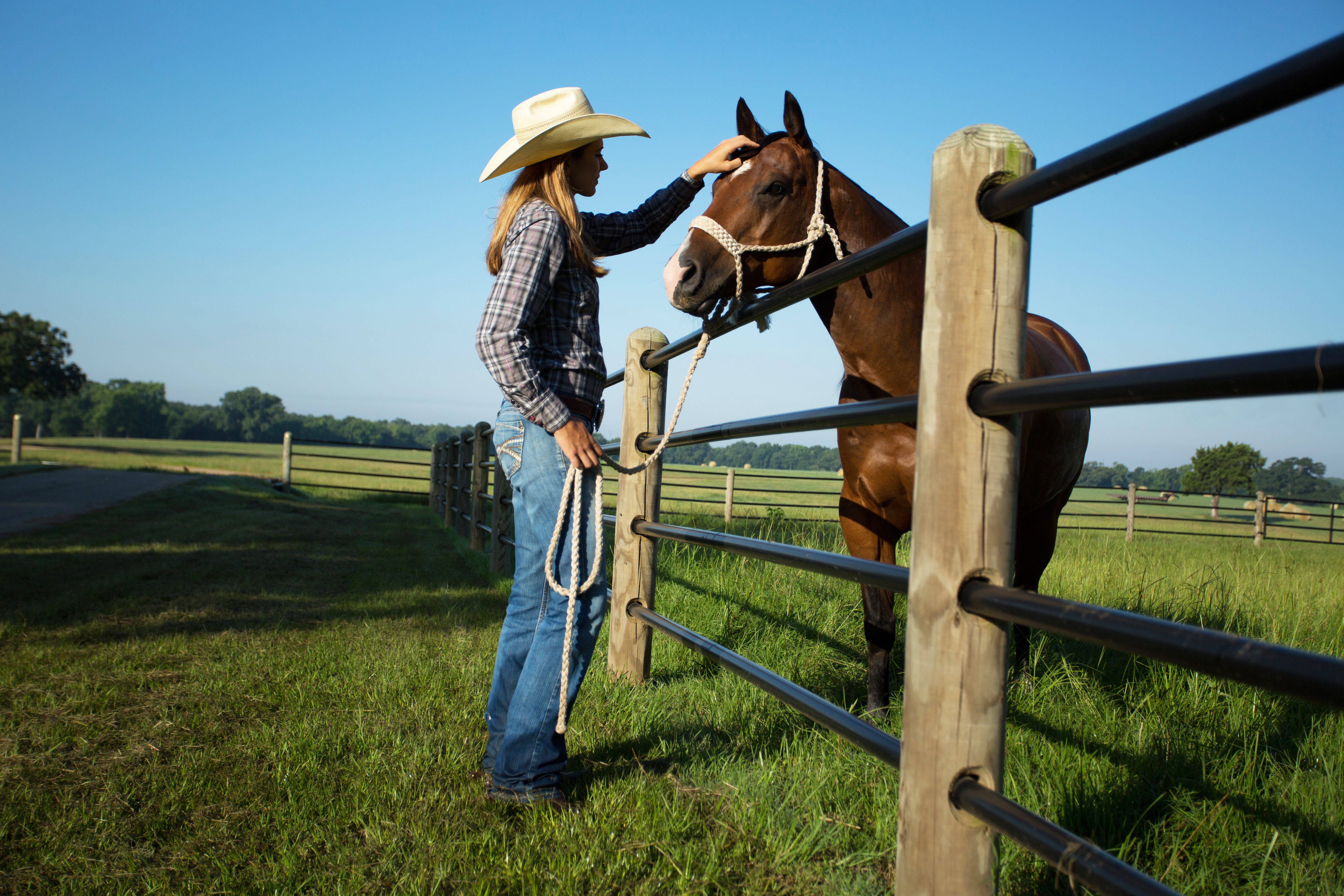 Ponderosa Fence Mesa Pate 29.jpg