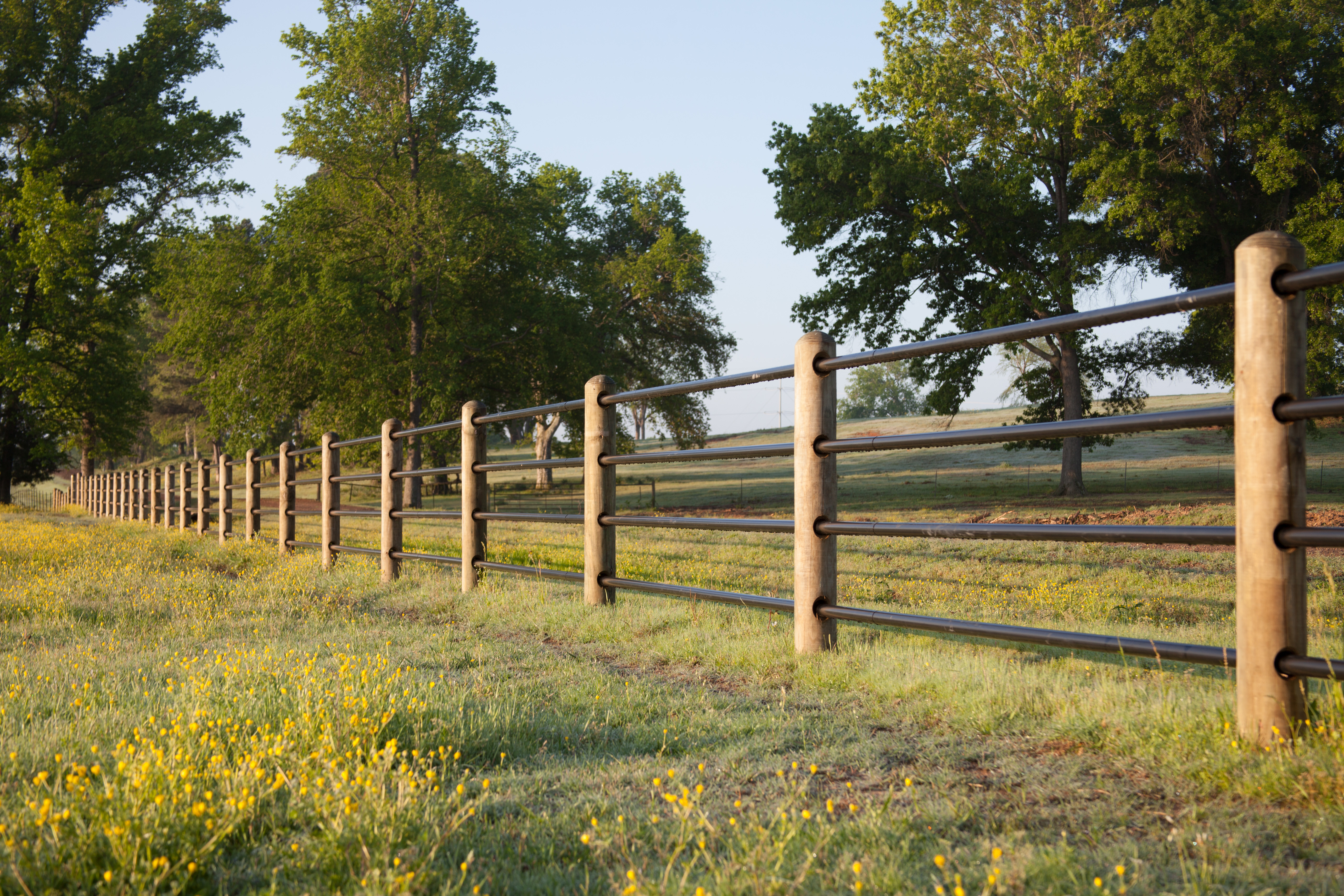 Ponderosa Fence Nate 03.jpg