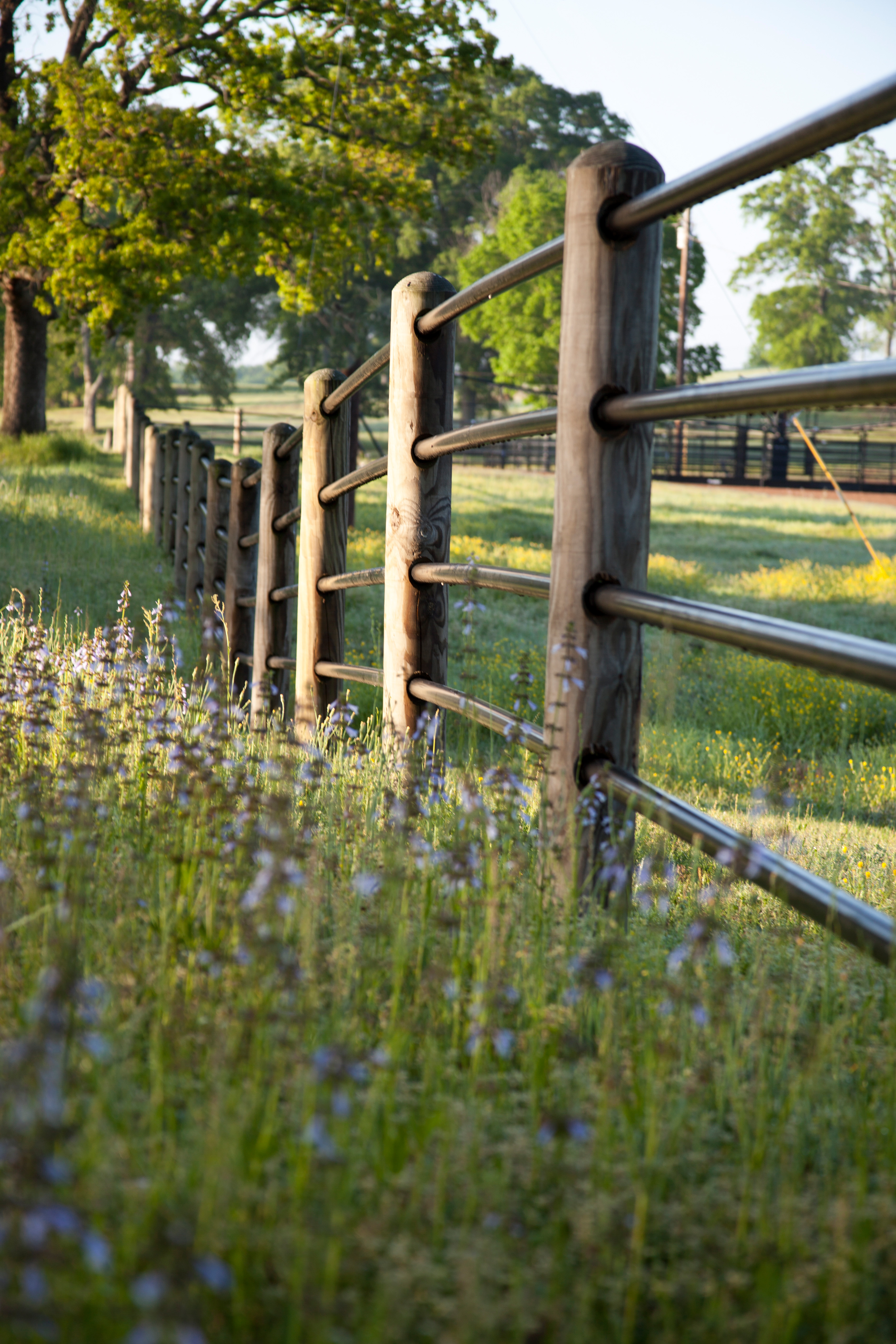Ponderosa Fence Nate 05.jpg