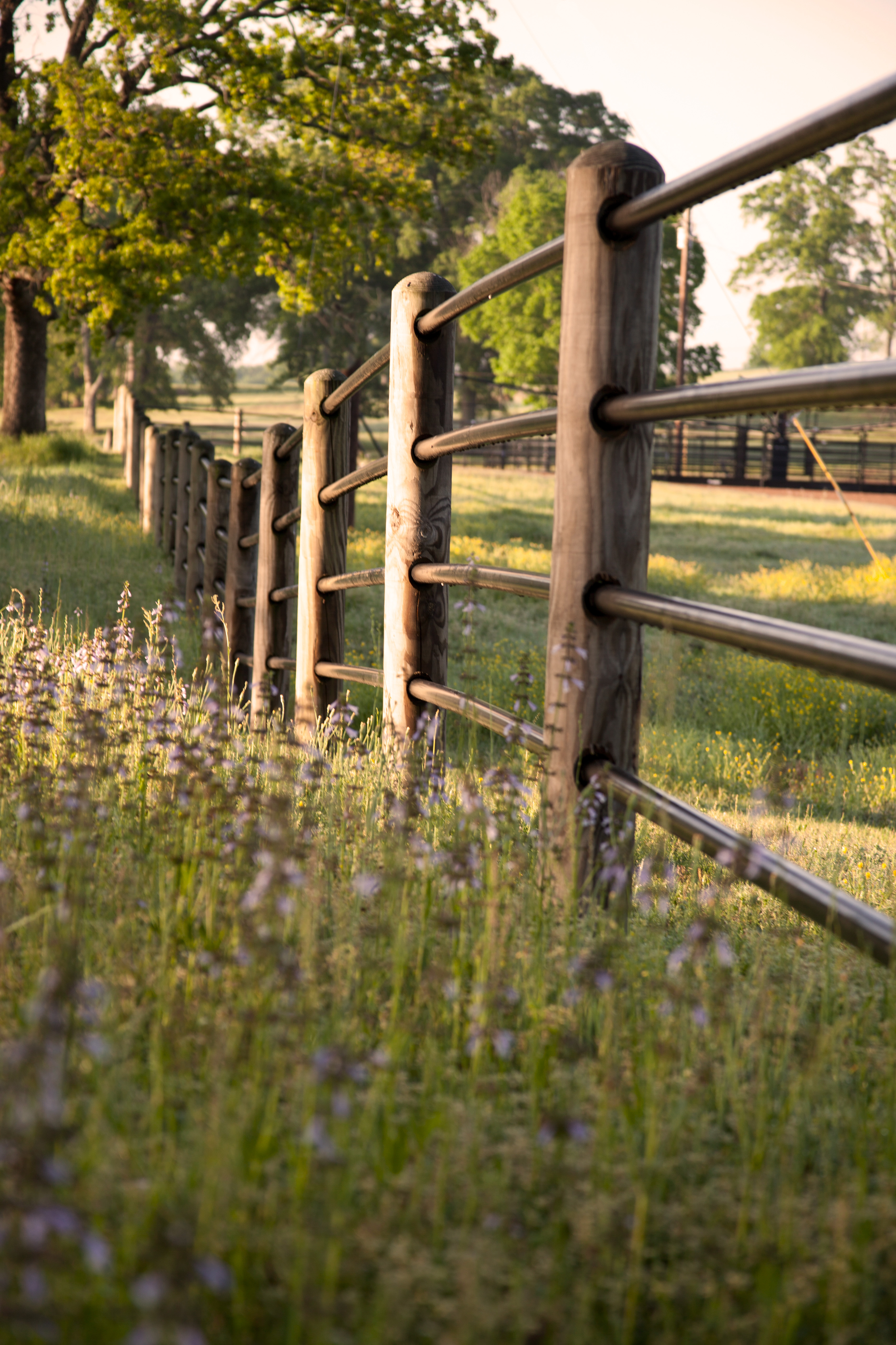 Ponderosa Fence Nate 06.jpg