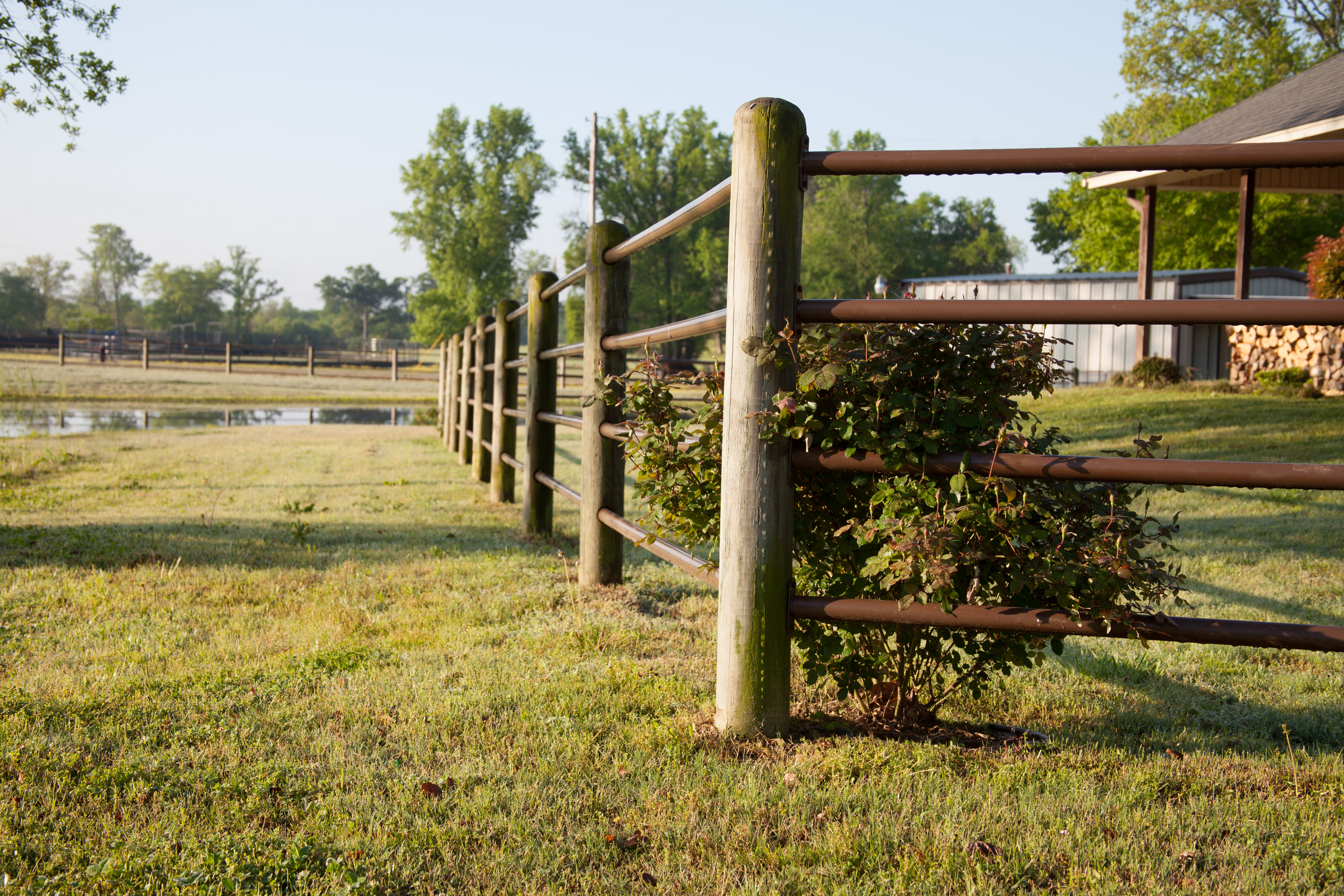 Ponderosa Fence Nate 11.jpg
