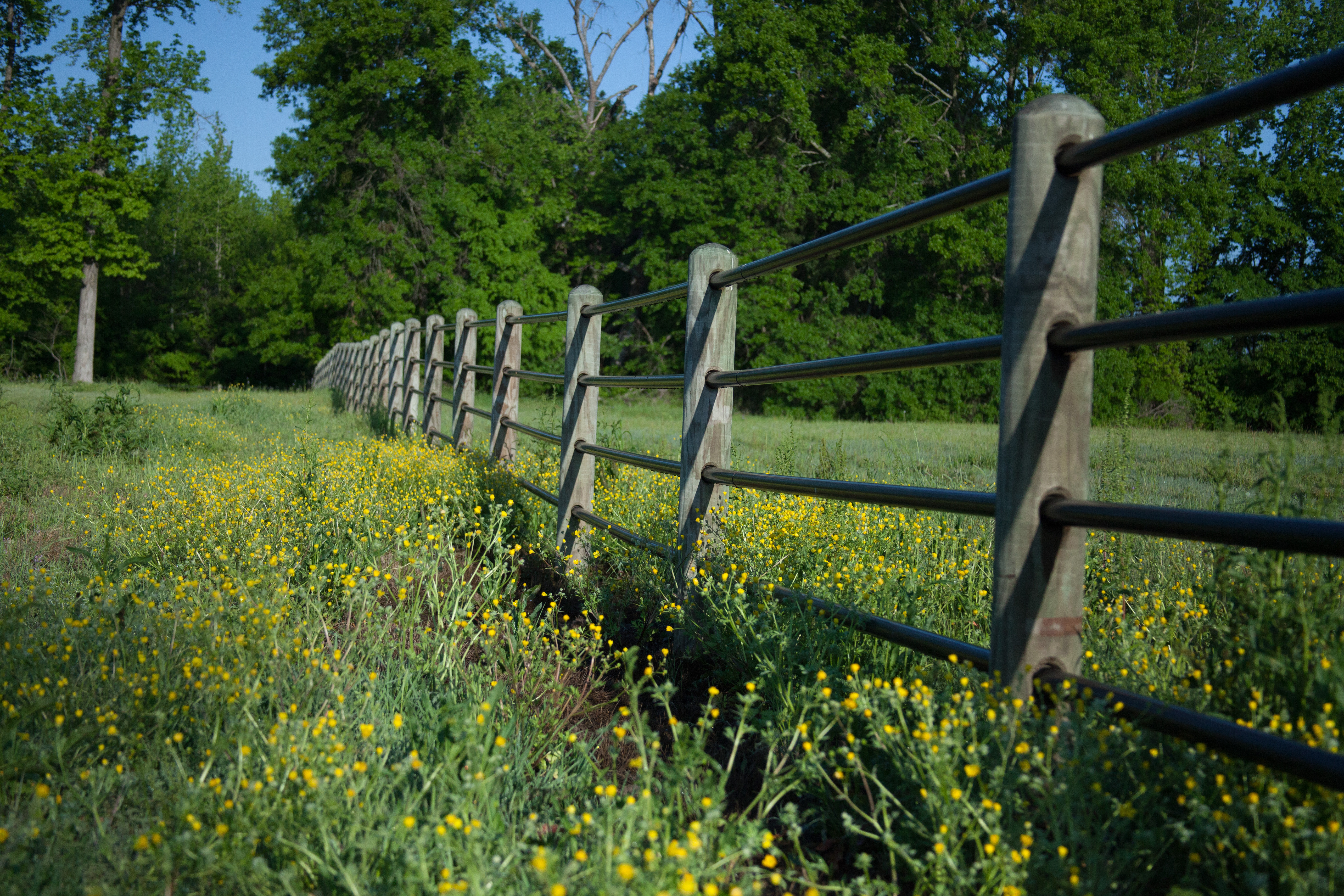 Ponderosa Fence Nate 12.jpg