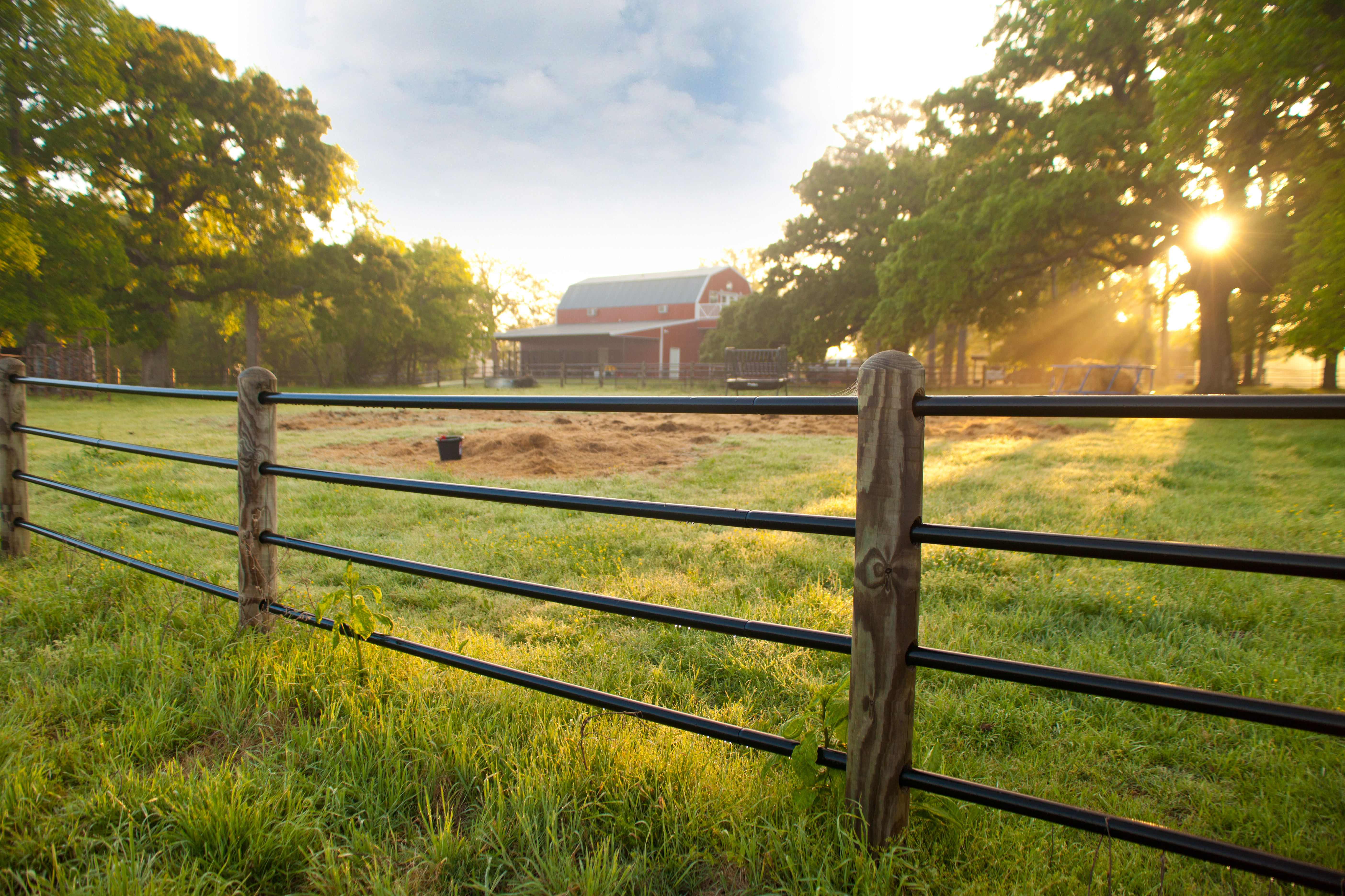 Ponderosa Fence Trav 05.jpg