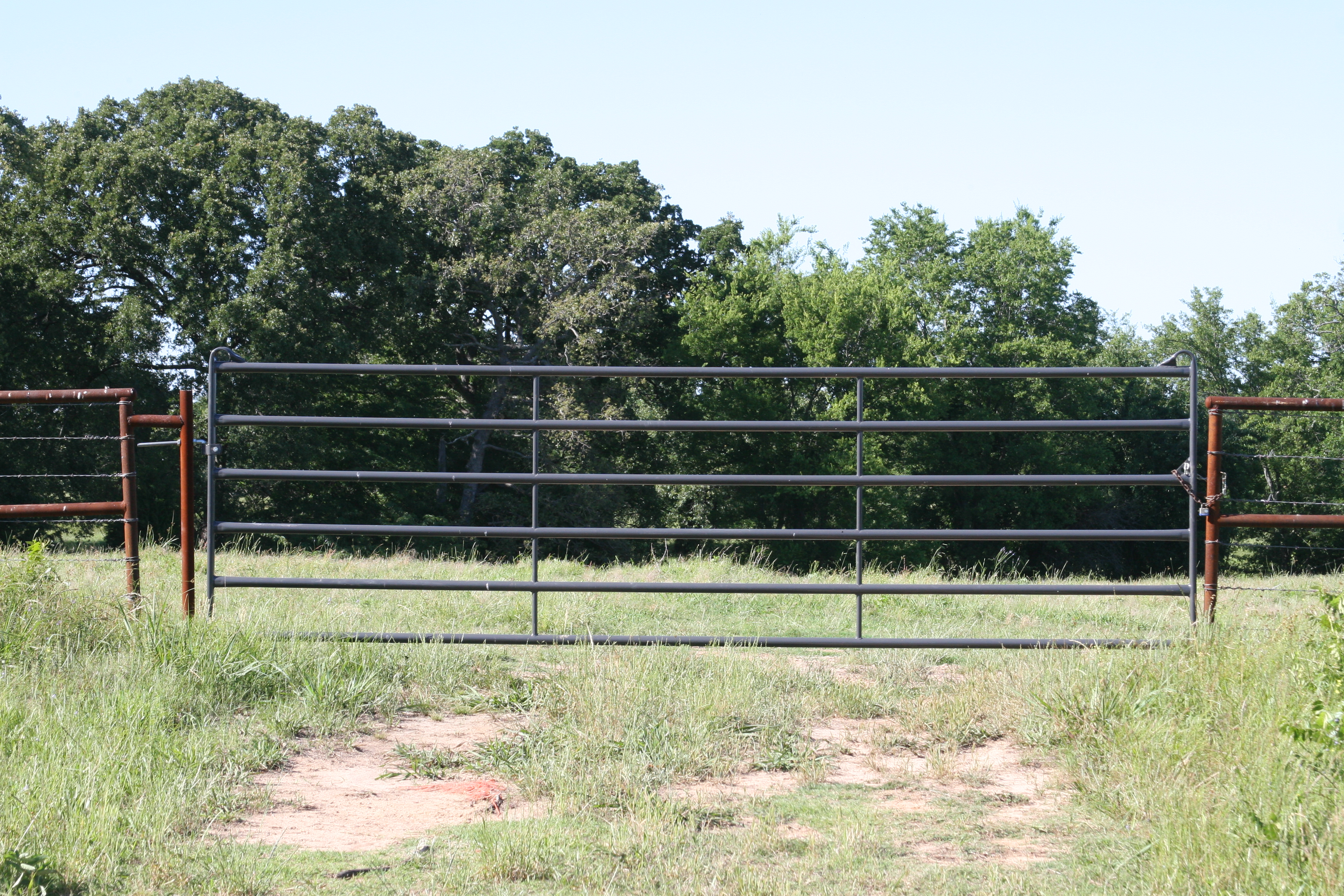 Premier Gate PCG14GY.JPG