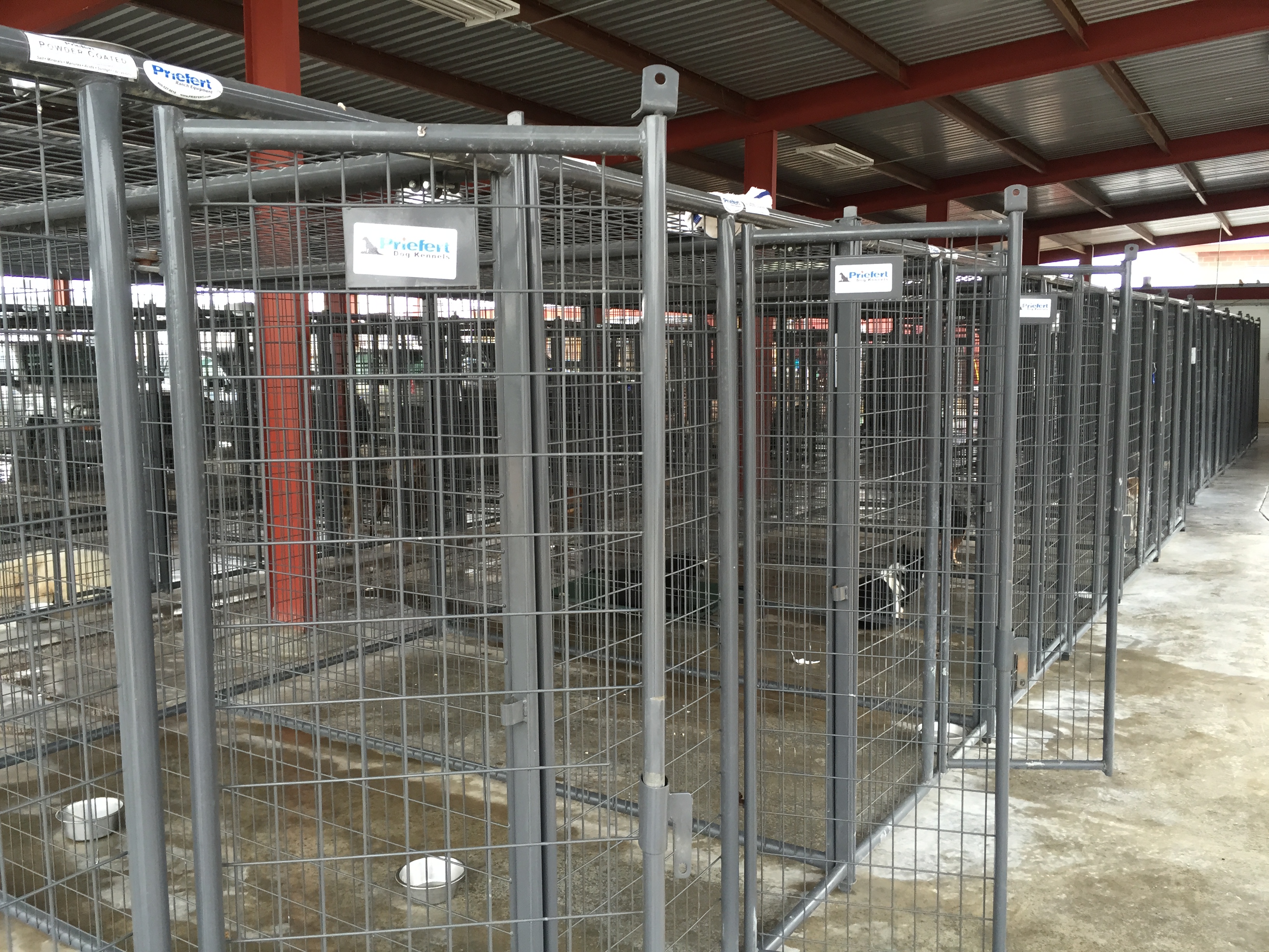 Kennels TallCItyVET 01.JPG