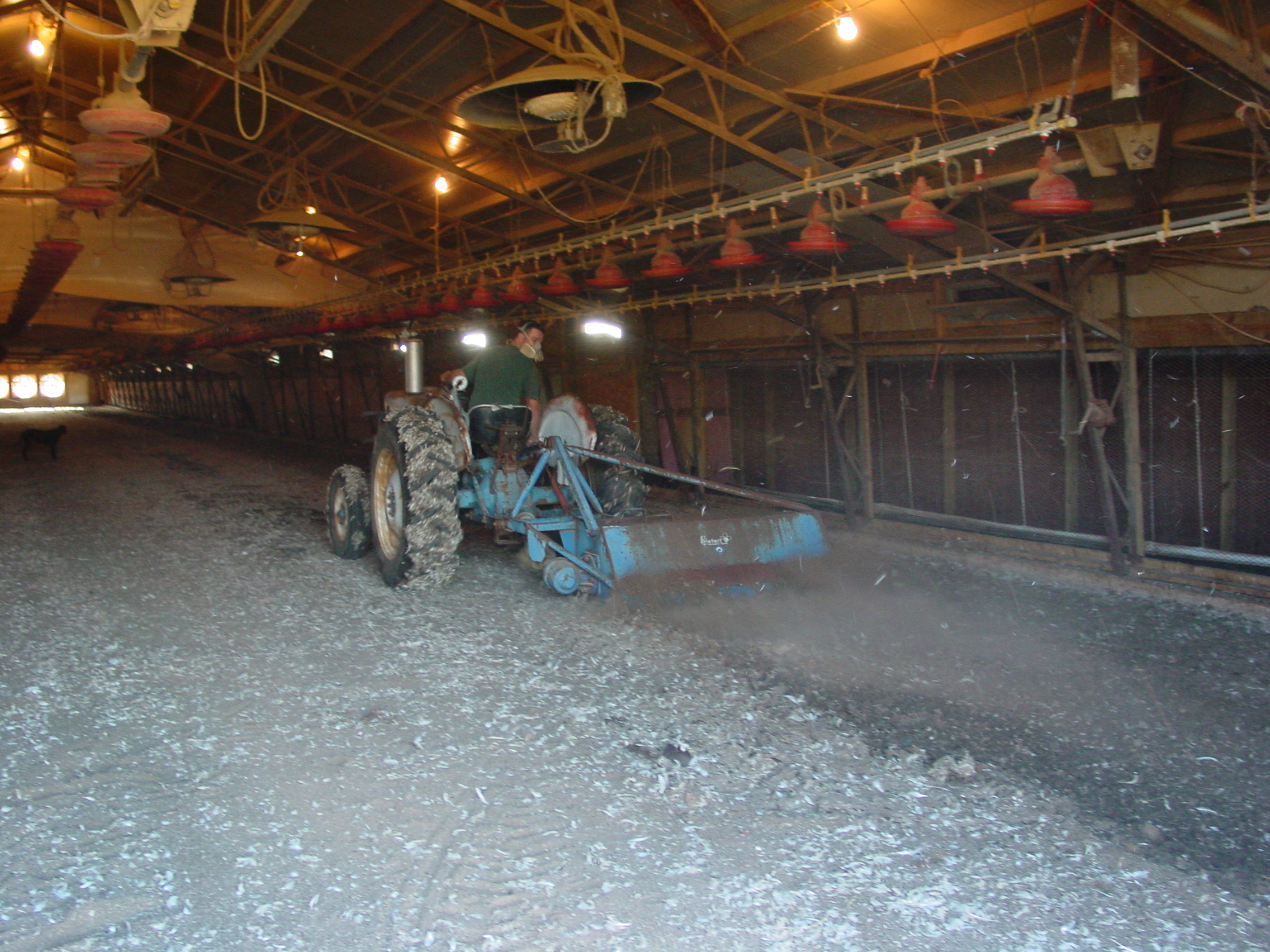 Chicken House 08 2004.JPG