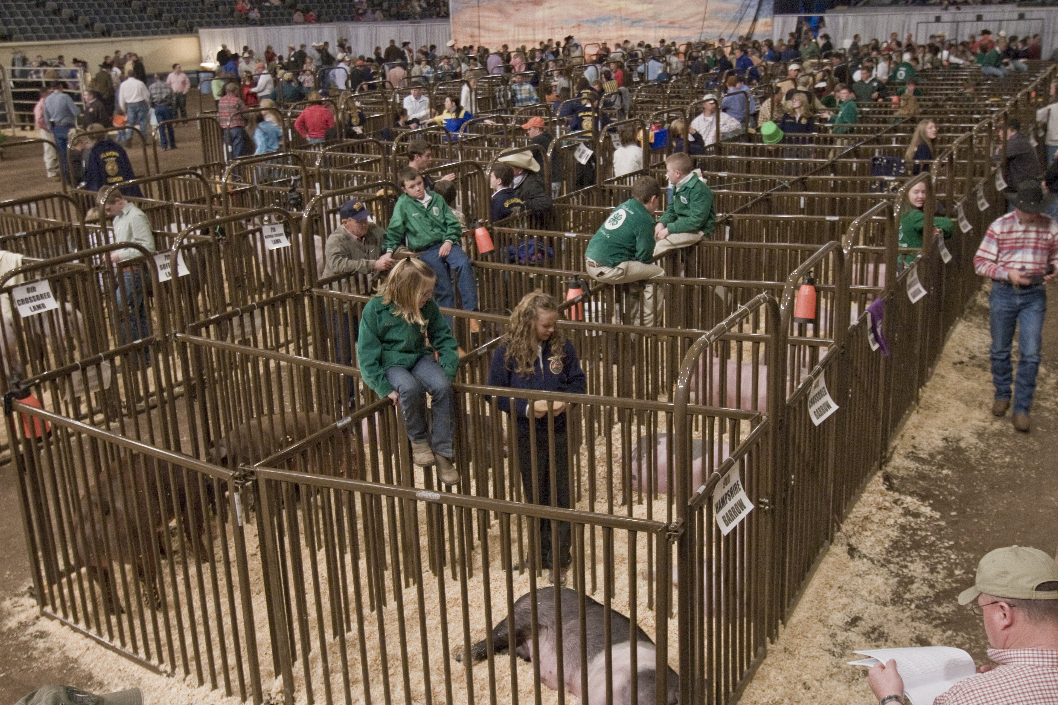 Sheep Hog SHP 05 Lifestyle.jpg