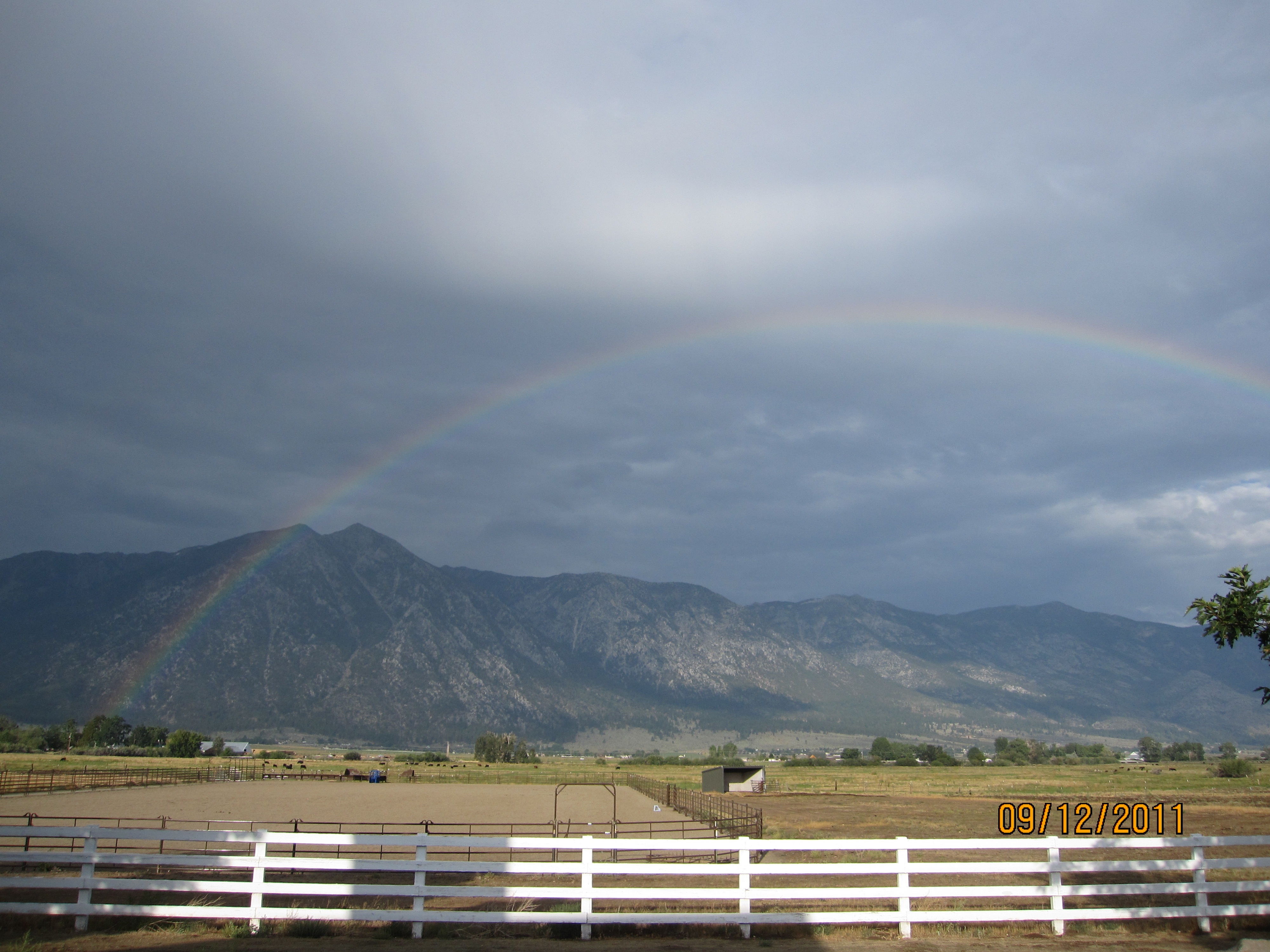 Arena ClayOCooper 01.jpg