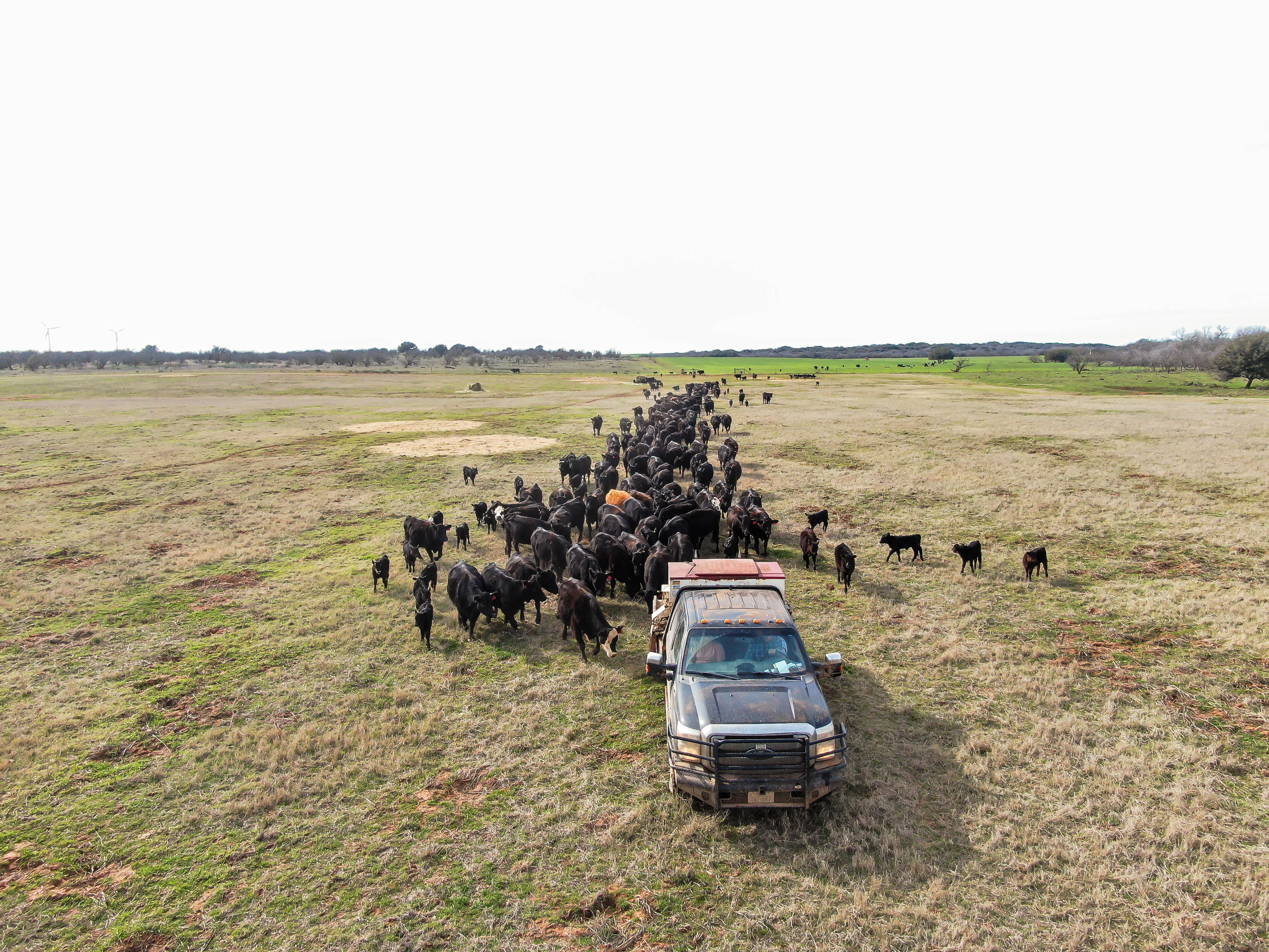 Trip Hopper DJI 0182.jpg