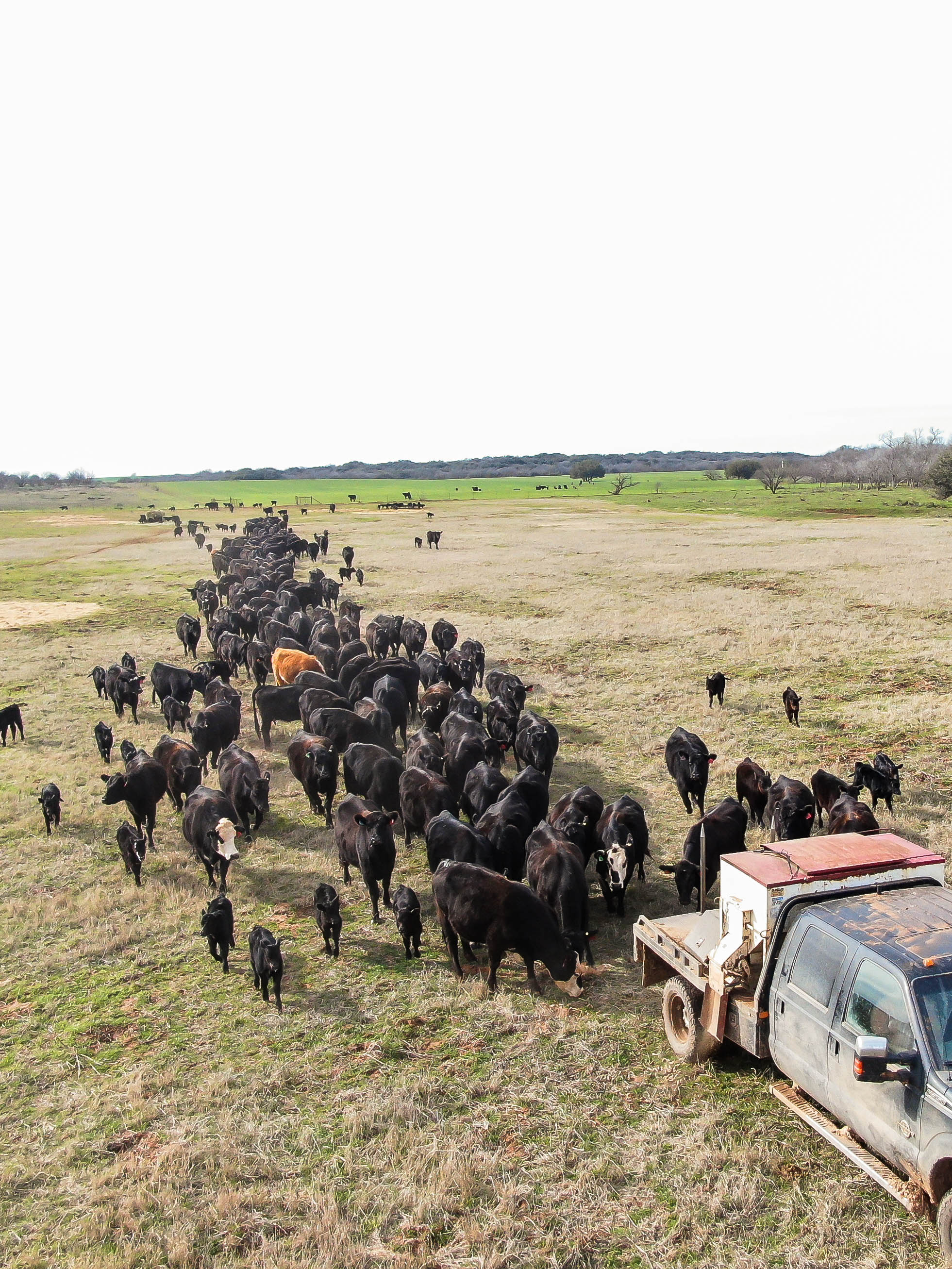 Trip Hopper DJI 0183.jpg