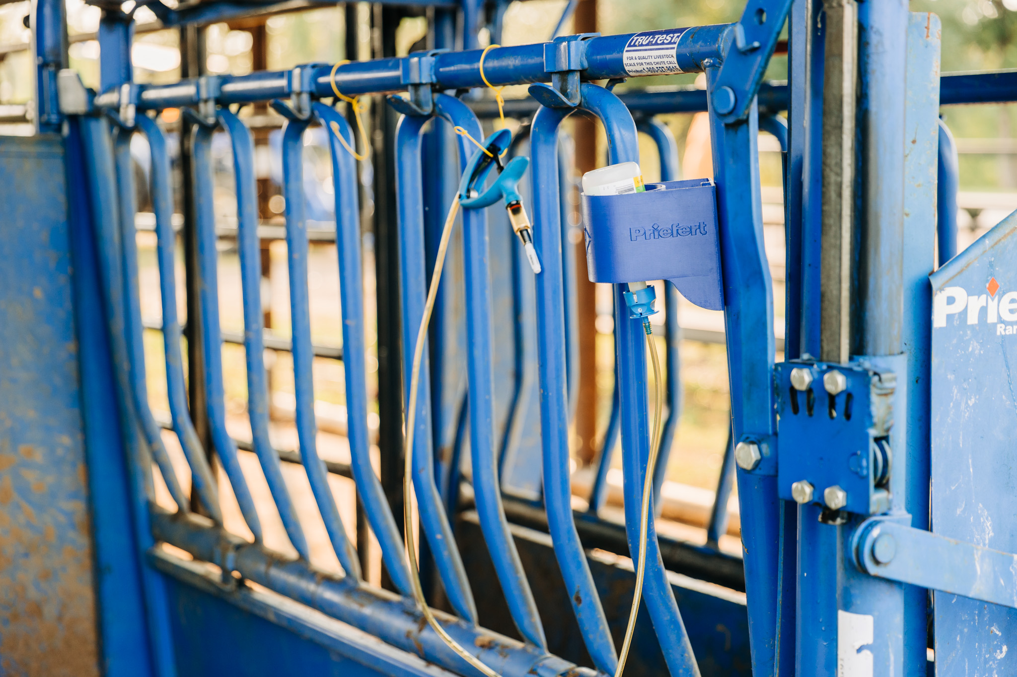 Cowboy Cupholder SR 3474.jpg