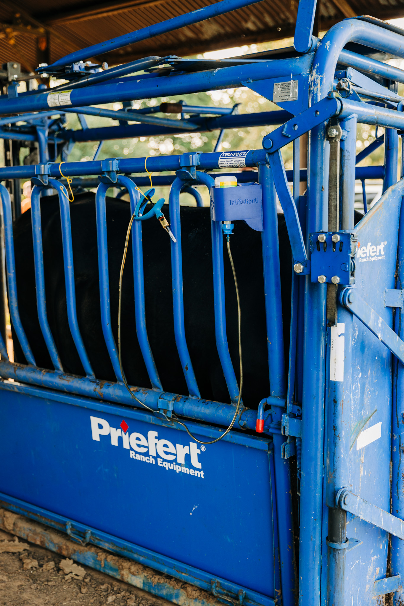 Cowboy Cupholder SR 3495.jpg