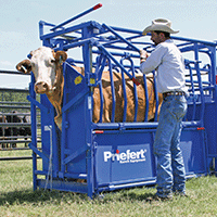 01 Cattle Equipment