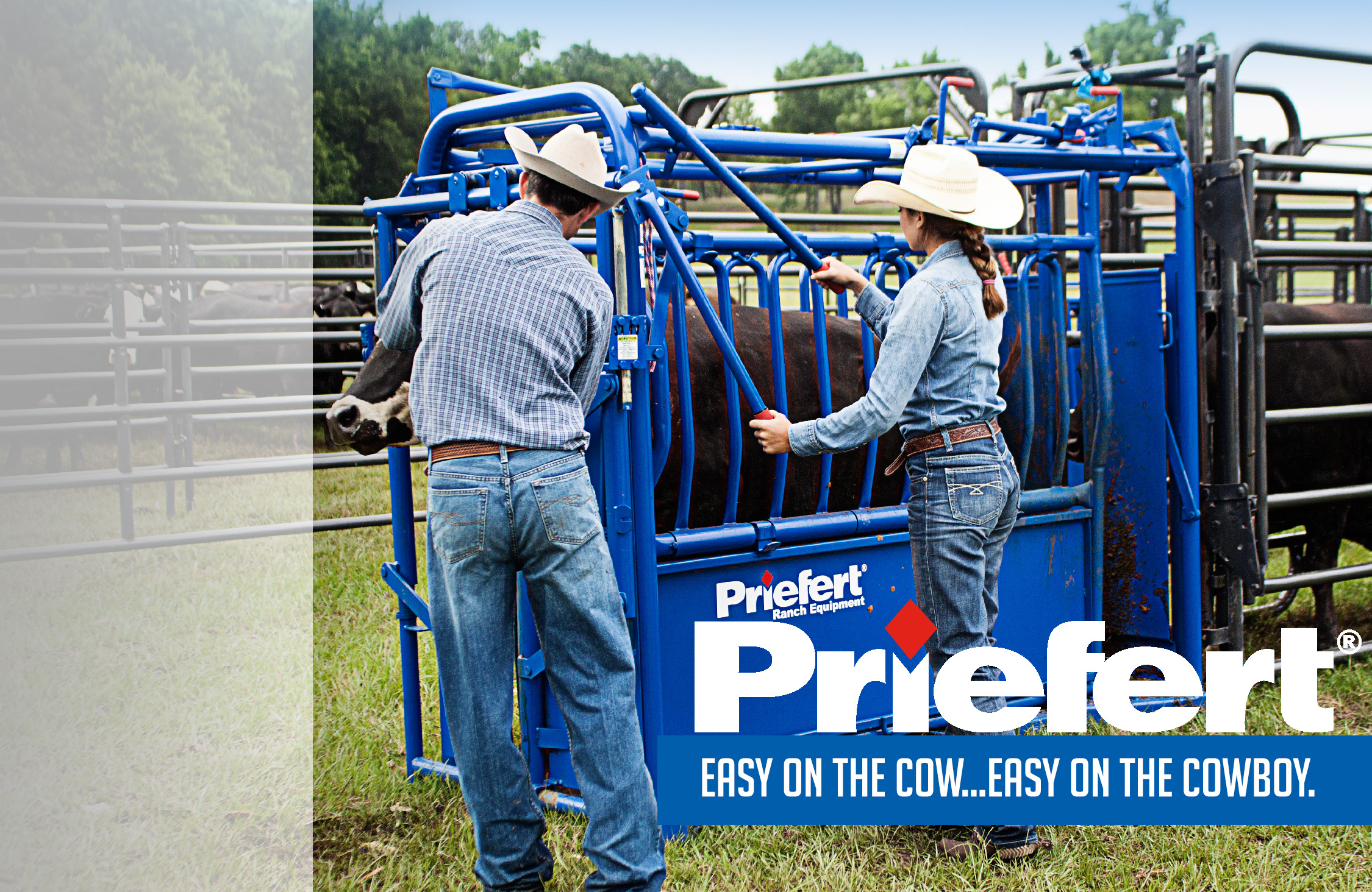 Cattle Lifestyle Half Pg.jpg