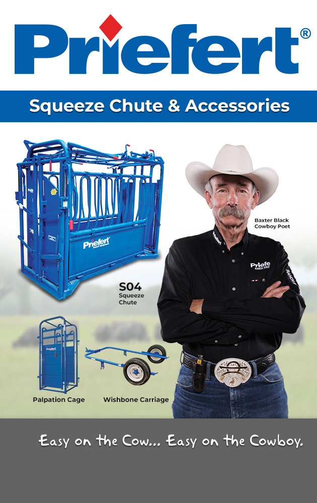 Cattle SC Quarter.jpg