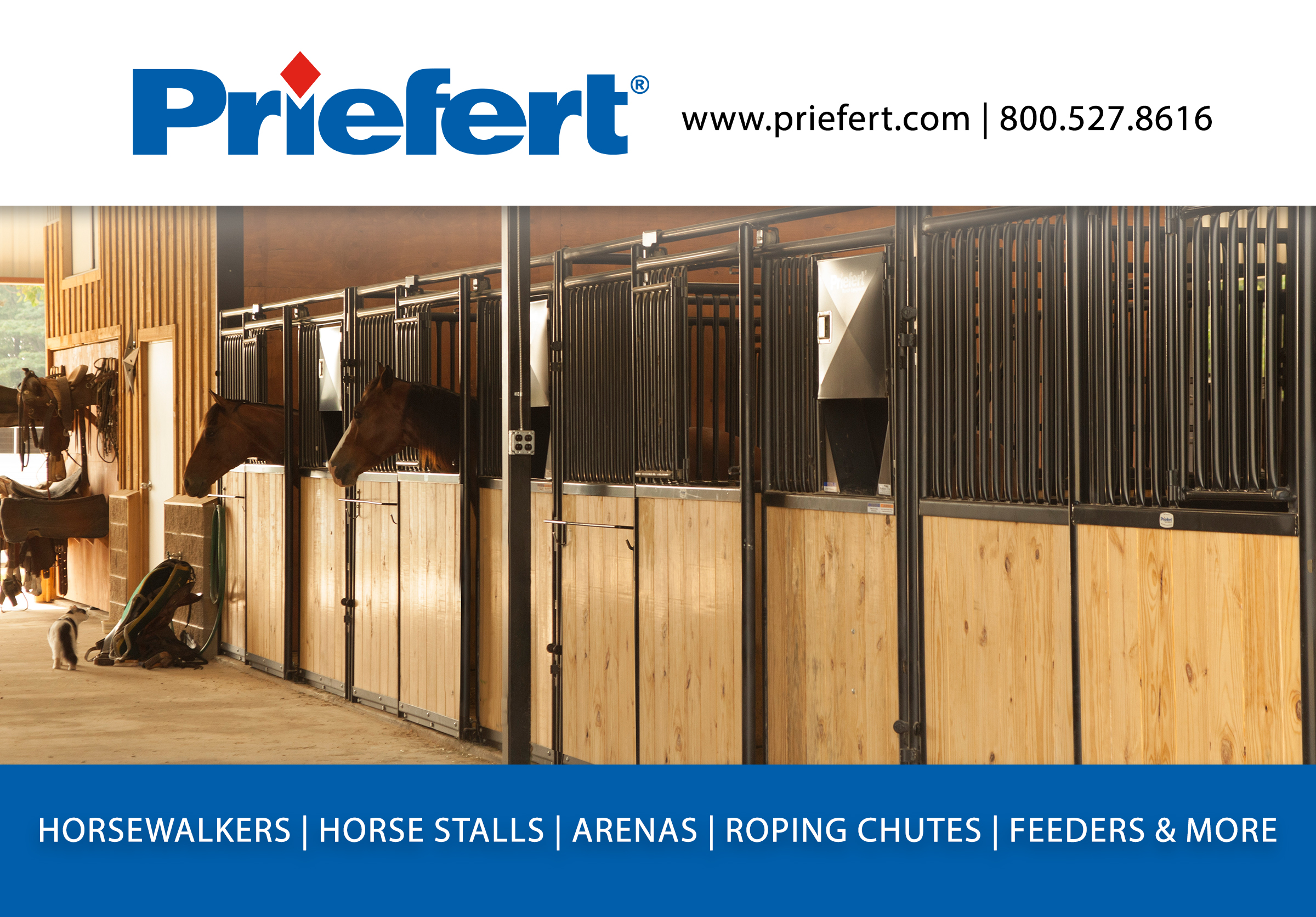 Equine Half Page.jpg