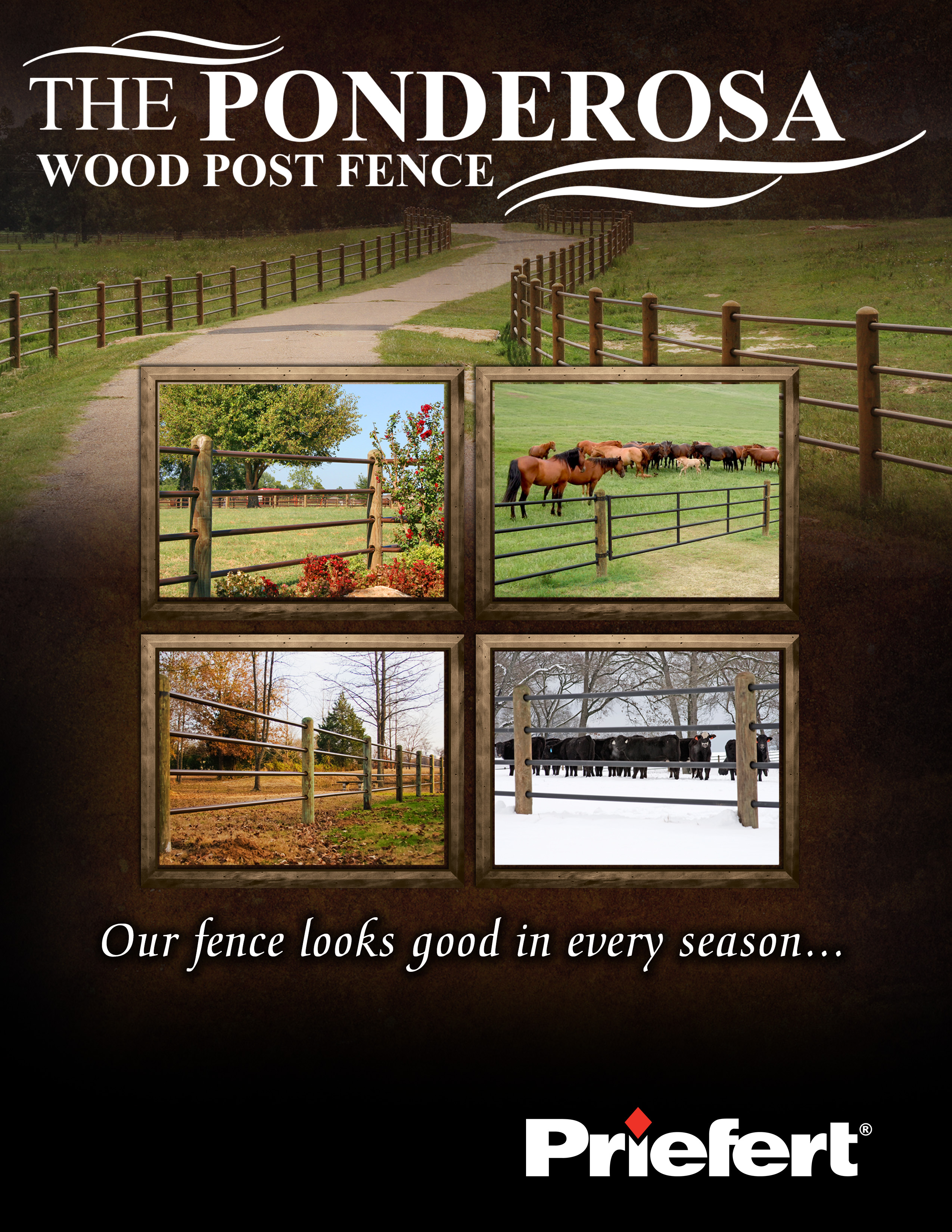 Ponderosa Full Pg.jpg