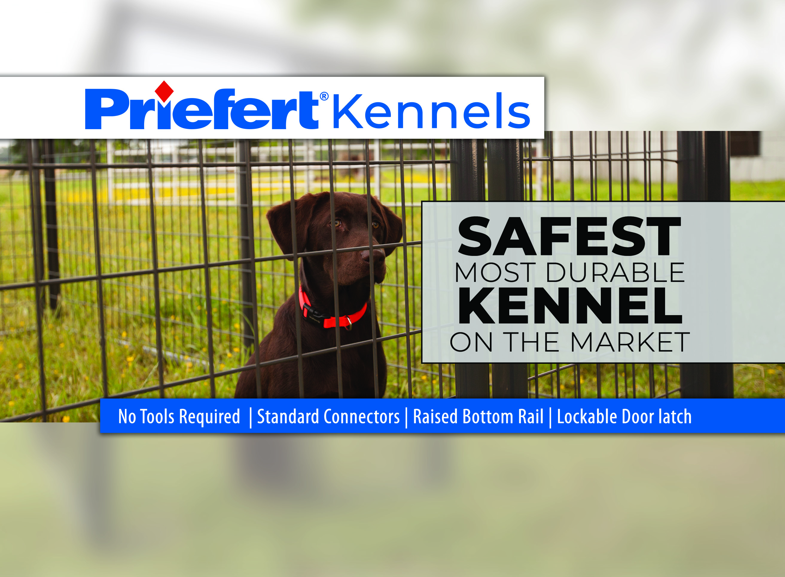 Kennel 2 Half Pg.jpg