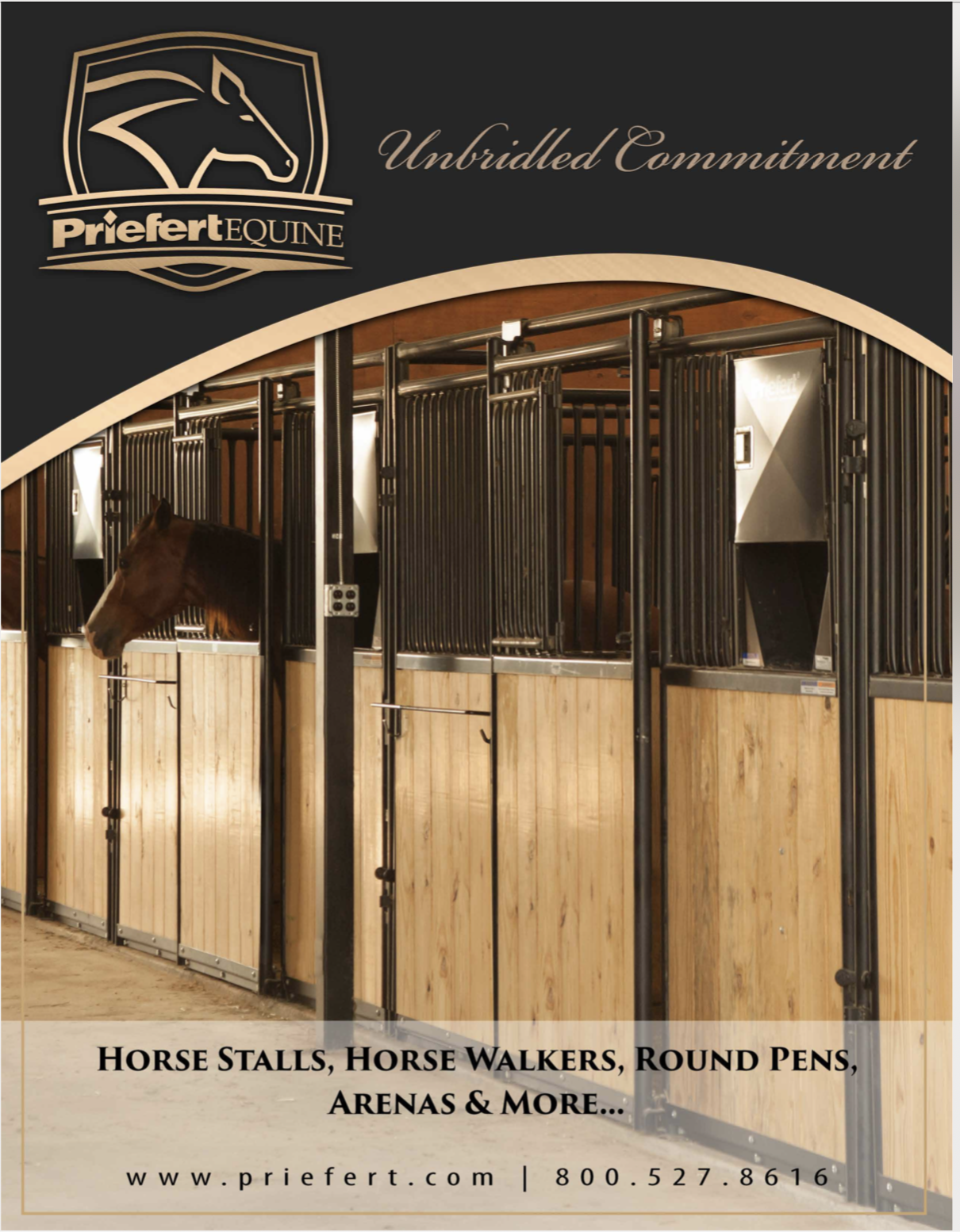 BroEquine 0620.jpg