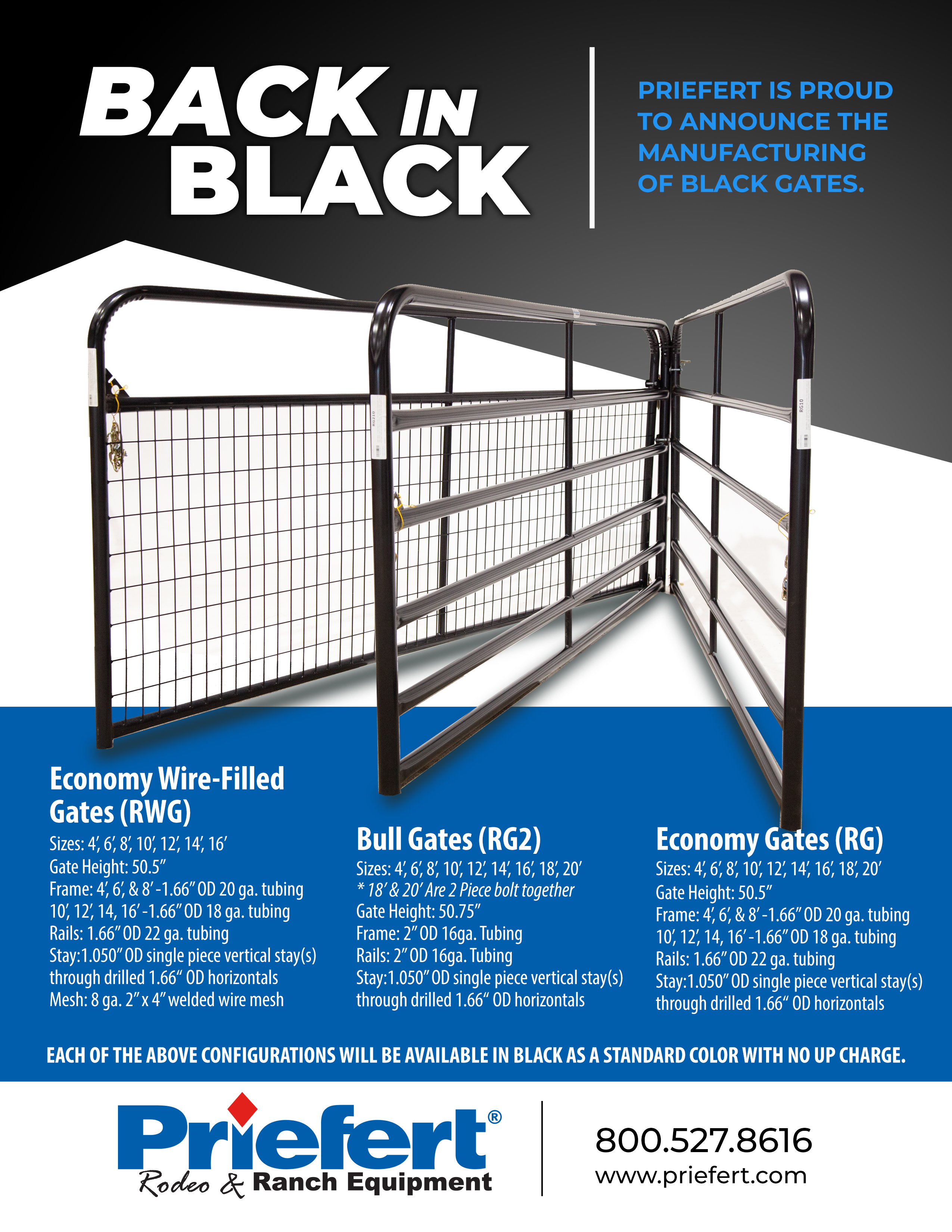 Flyer Backinblack.jpg