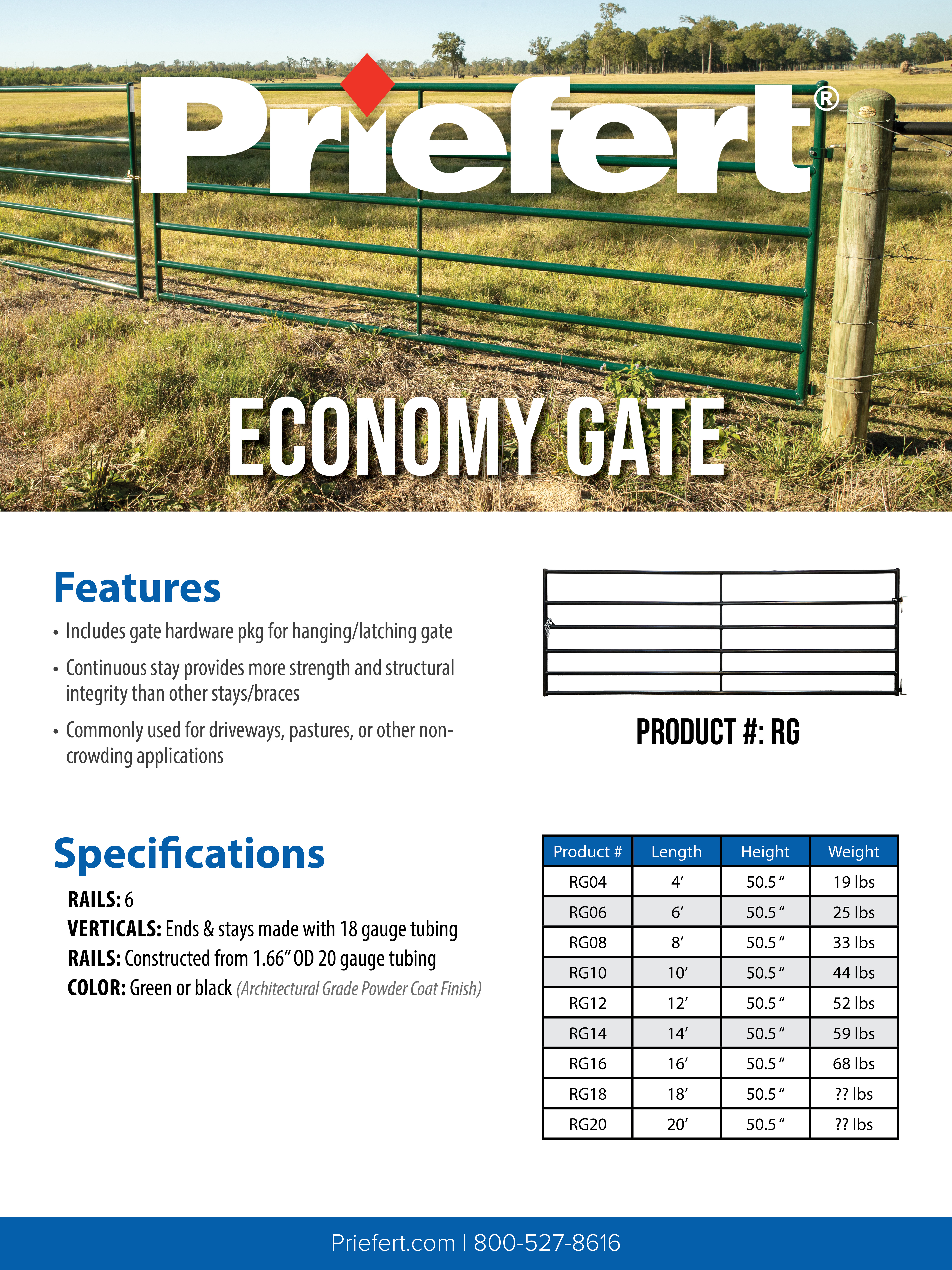 POS RG Economy Gate.jpg