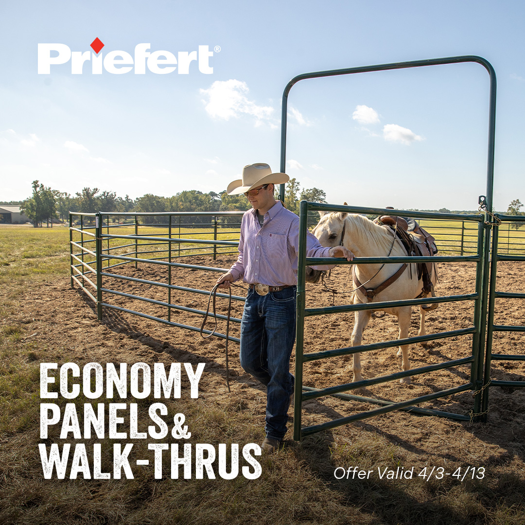 Ex EconomyPanels Walk Thrus.jpg