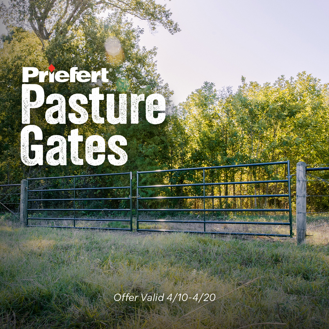 Pasture Gates.jpg