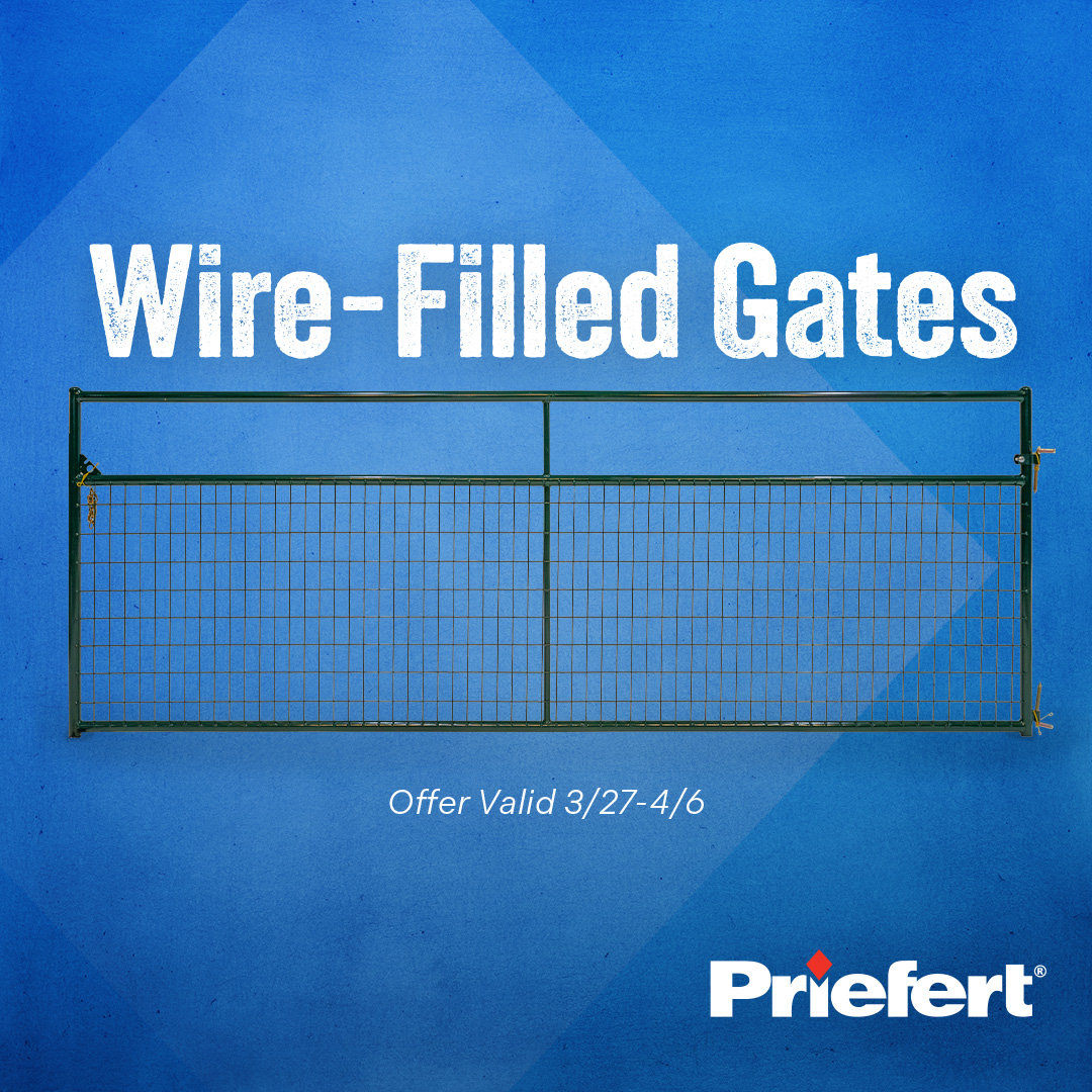 Wire Filled Gates.jpg