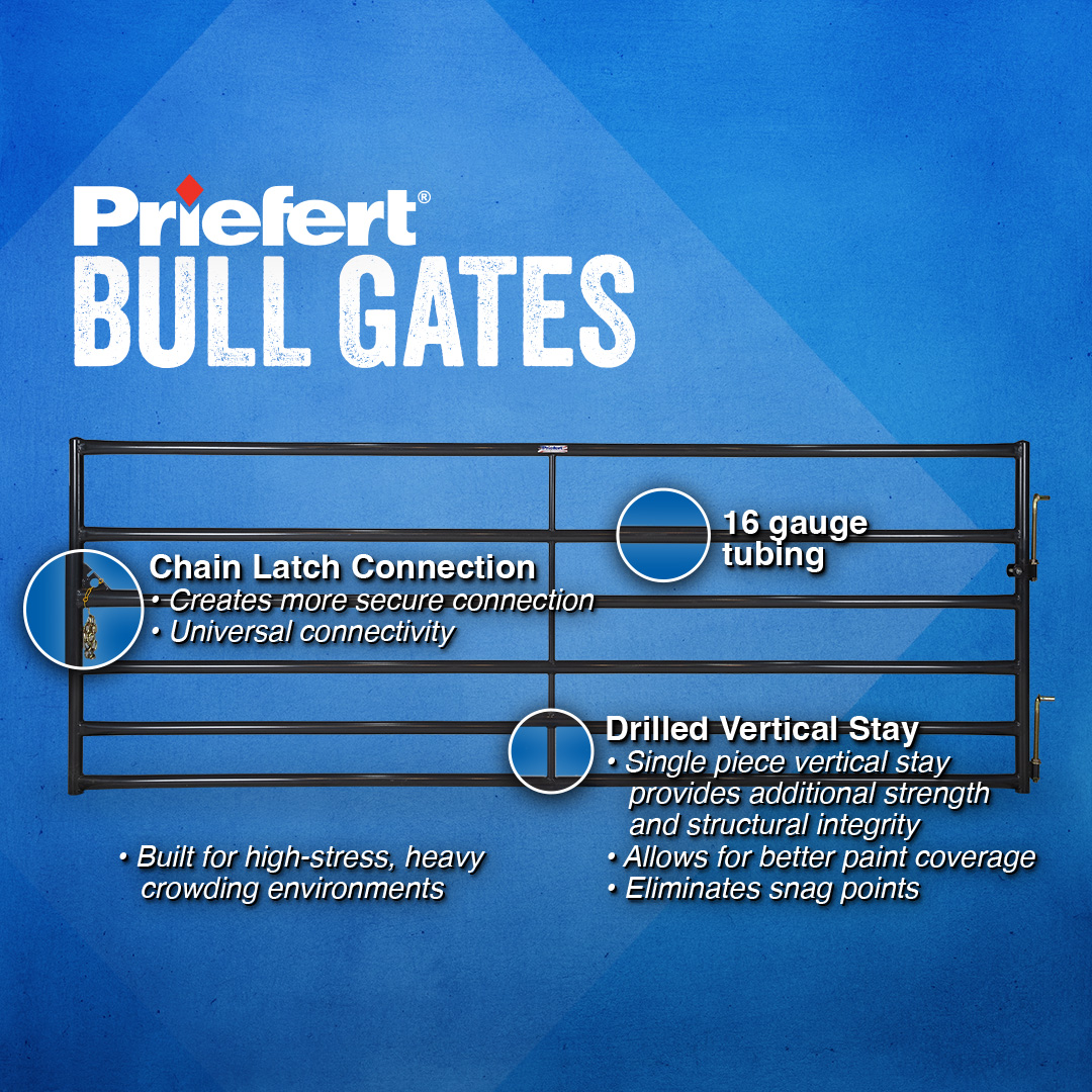 BullGates Features.jpg